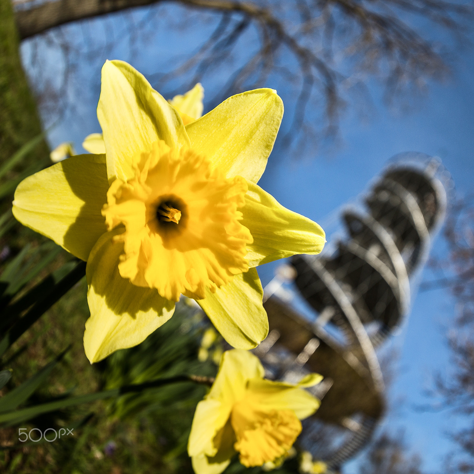 Canon EF 8-15mm F4L Fisheye USM sample photo. Spring in stuttgart photography