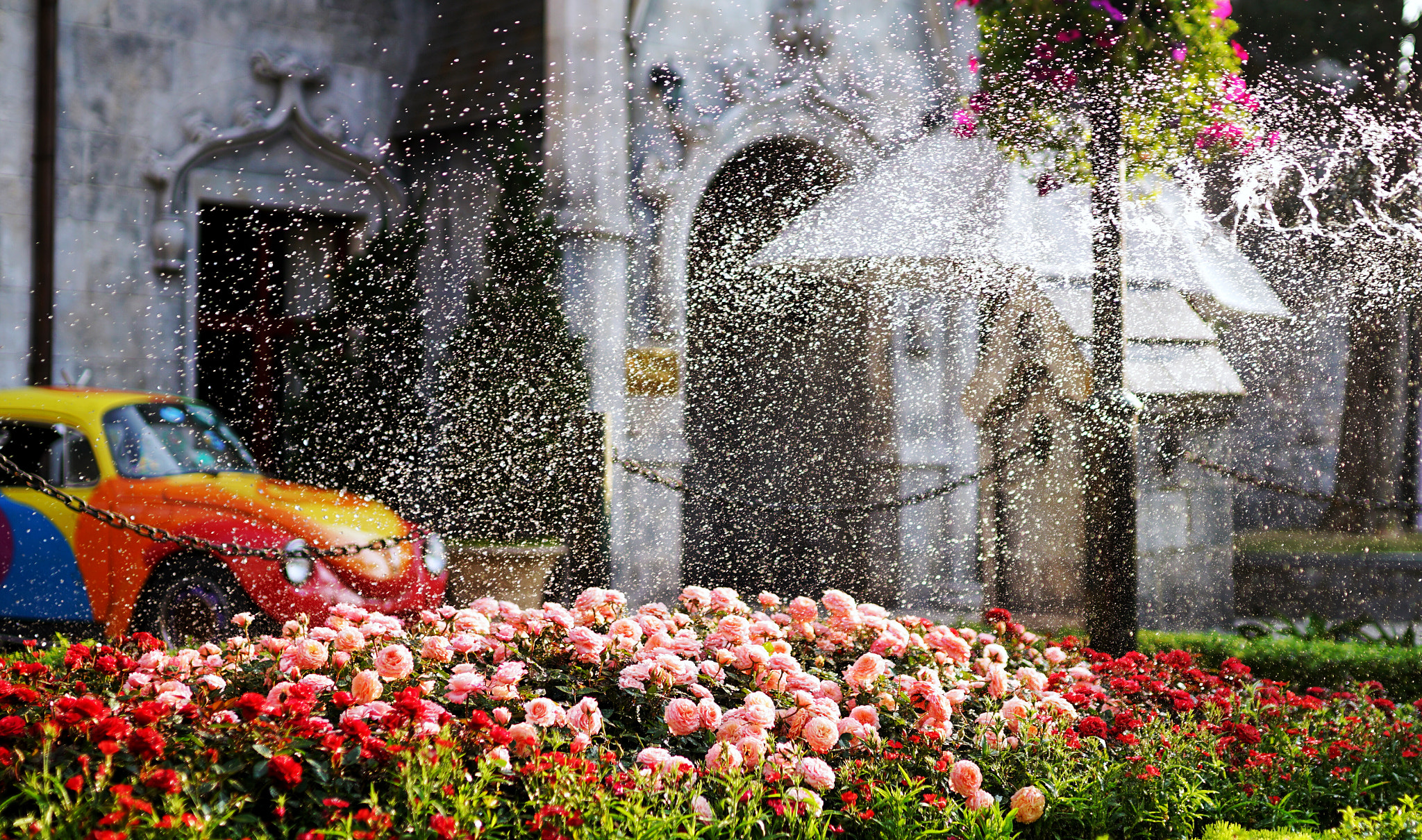 Sony a7R II + Sony Distagon T* FE 35mm F1.4 ZA sample photo