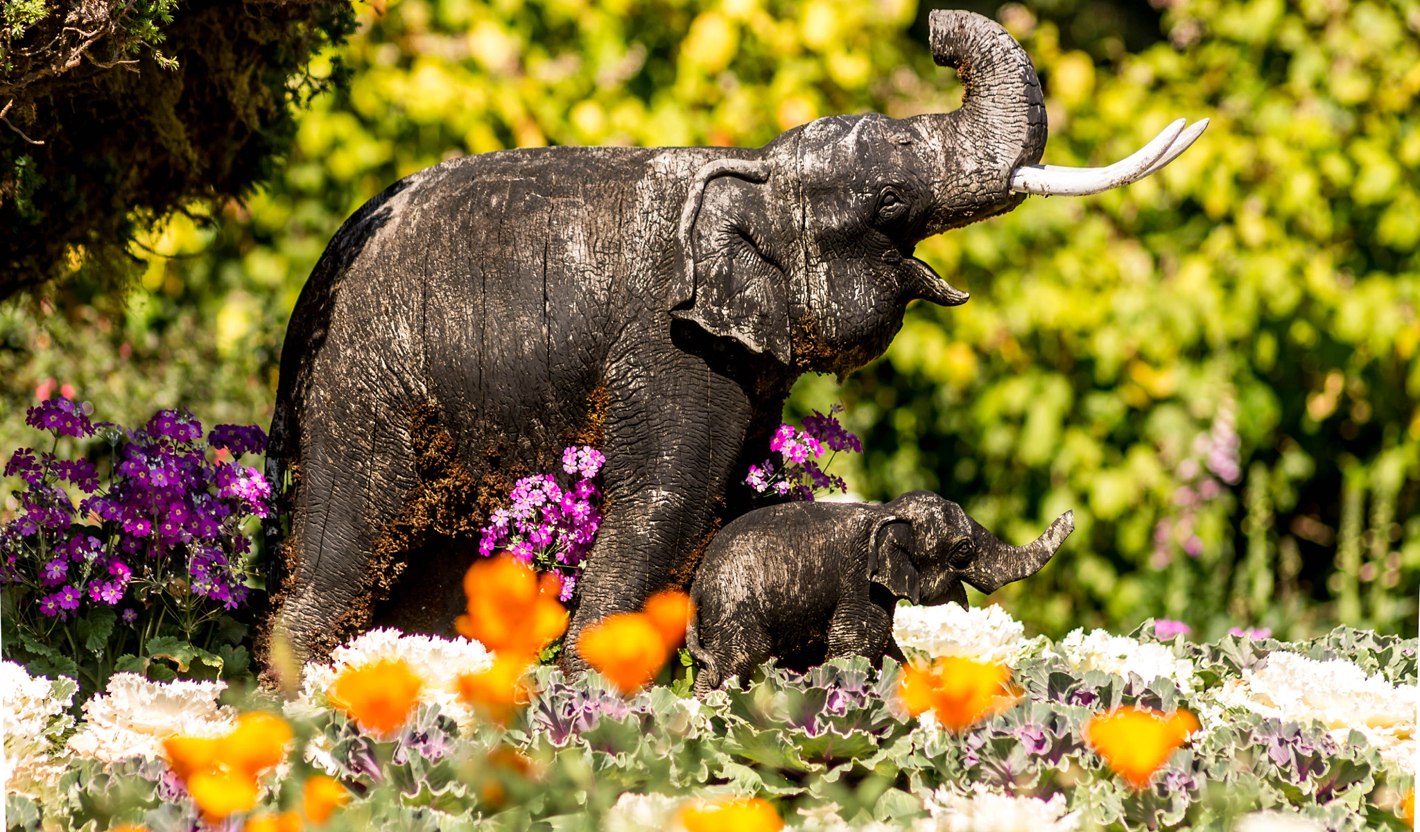 Canon EOS 1100D (EOS Rebel T3 / EOS Kiss X50) sample photo. Elephant comes to the rescue photography