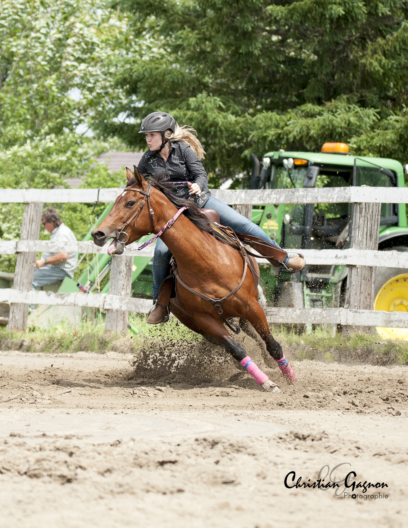 Nikon D700 sample photo. Horse1 photography