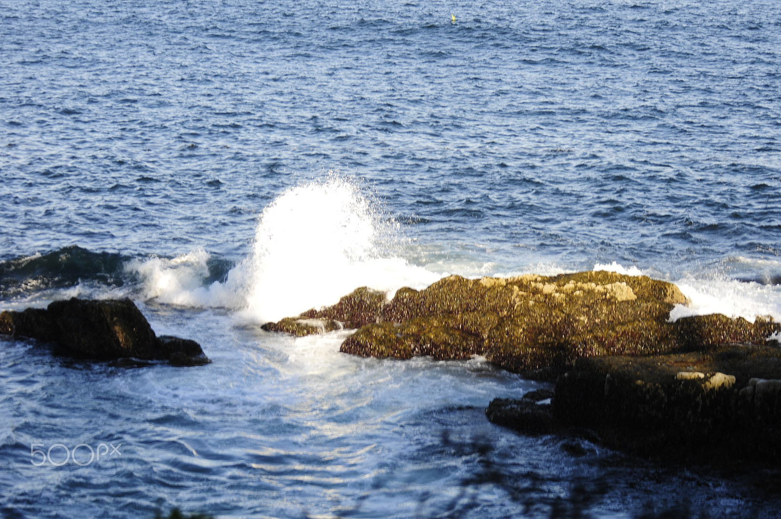Nikon D300S sample photo. Acadia national park photography