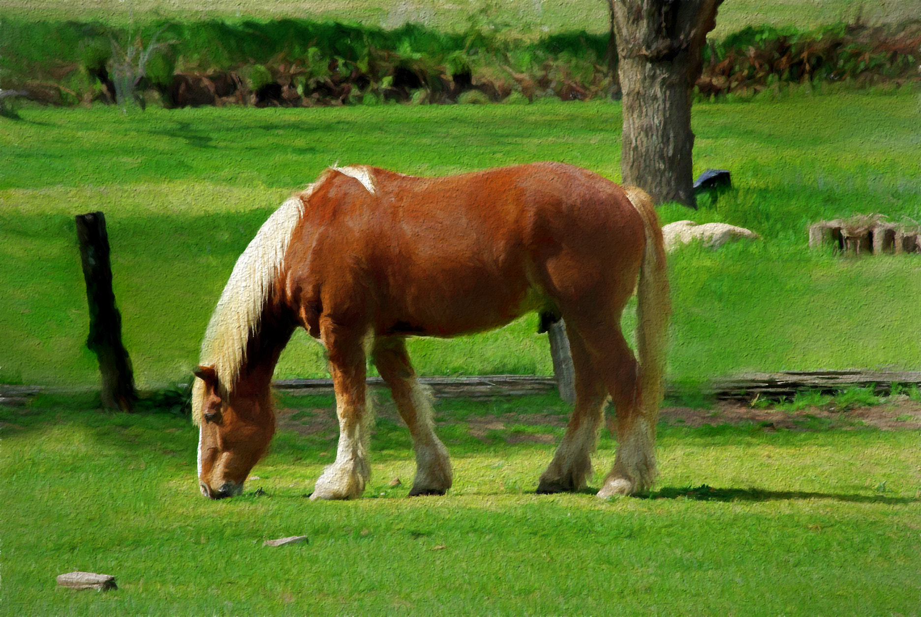 smc PENTAX-DA L 55-300mm F4-5.8 ED sample photo. A  big footed one photography