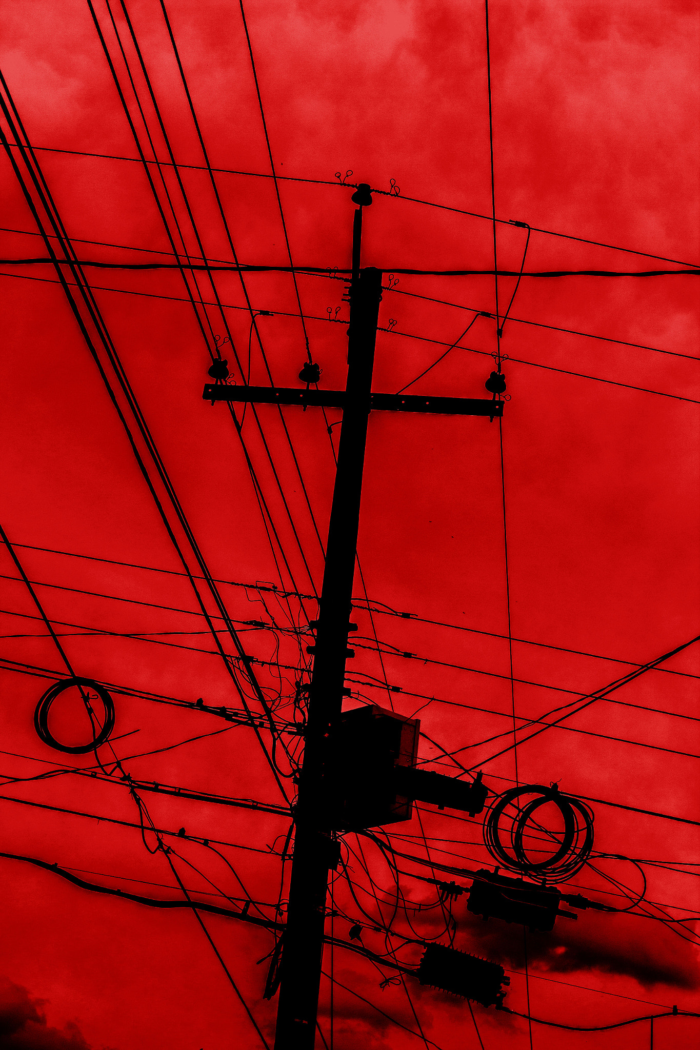 Canon EOS 550D (EOS Rebel T2i / EOS Kiss X4) sample photo. Red between black wires photography