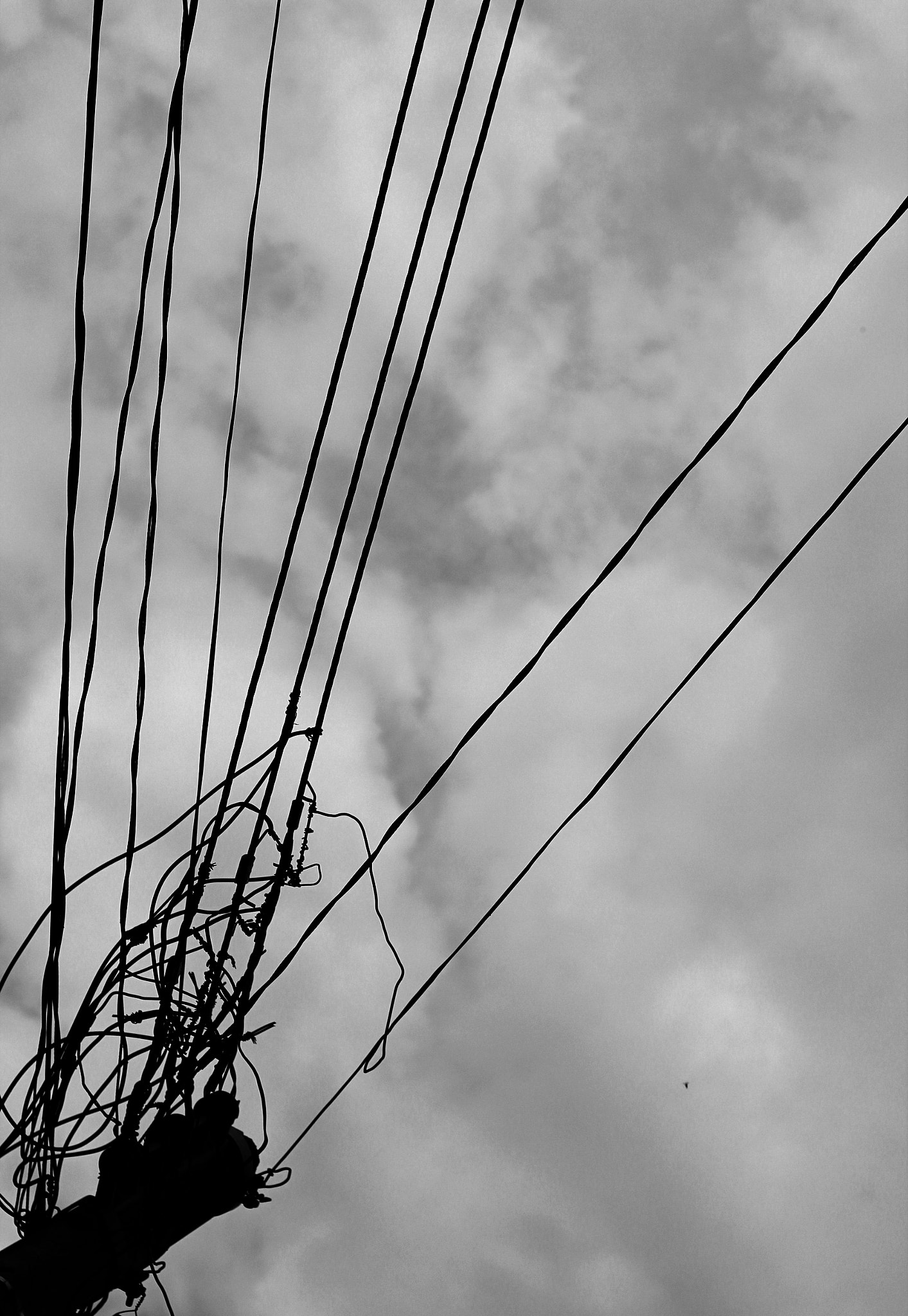 Canon EOS 550D (EOS Rebel T2i / EOS Kiss X4) sample photo. Black and white cables photography