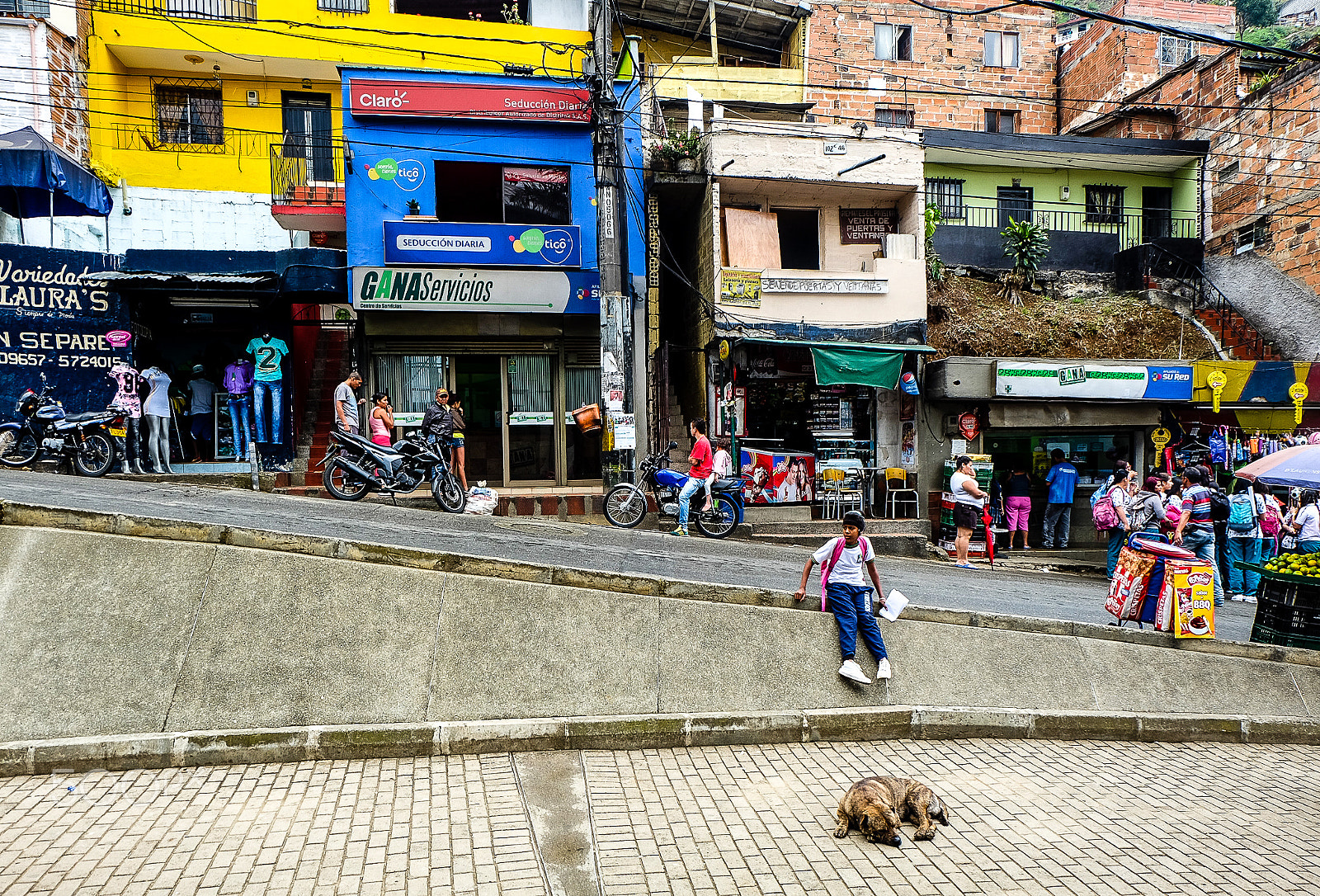 Fujifilm XC 16-50mm F3.5-5.6 OIS sample photo. Me and my dog. photography