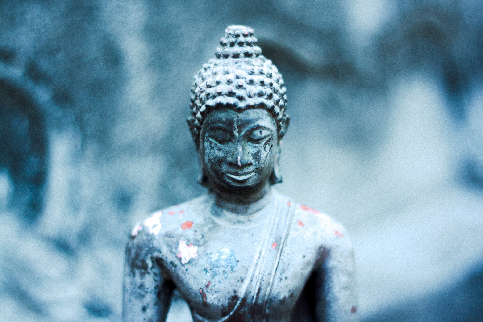 Canon EOS 1000D (EOS Digital Rebel XS / EOS Kiss F) + Canon EF 50mm F1.8 II sample photo. Buddha statue in wat mahathat in ayutthaya, thailand. photography