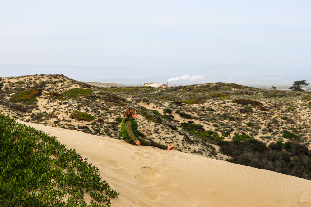 Canon EOS 7D + Sigma 24-70mm F2.8 EX DG Macro sample photo. On the dunes photography