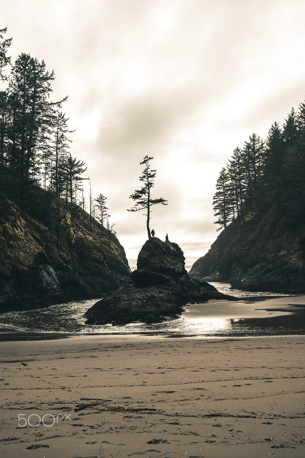 Sony a7 II + Sony FE 24-70mm F2.8 GM sample photo. Cape disappointment photography
