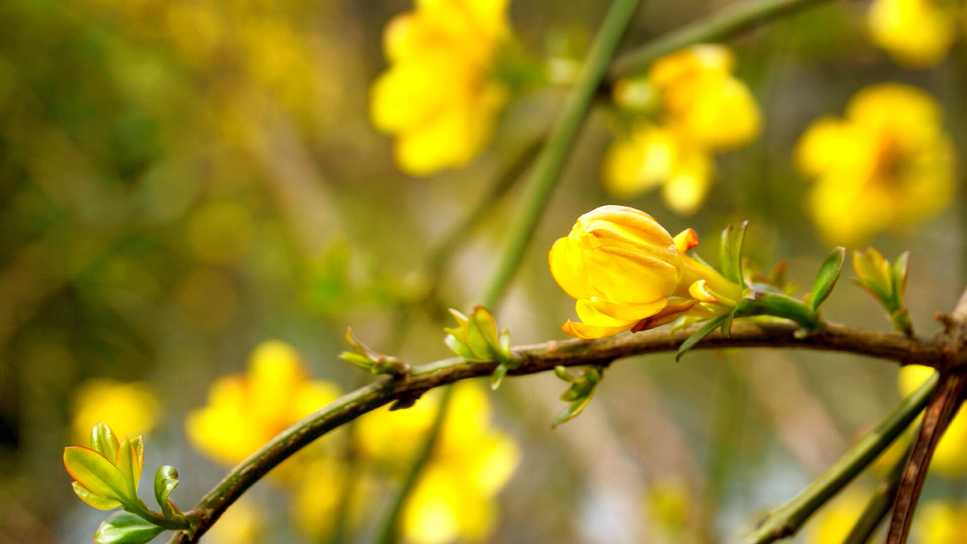 Sony a5100 sample photo. The side of the road trip photography