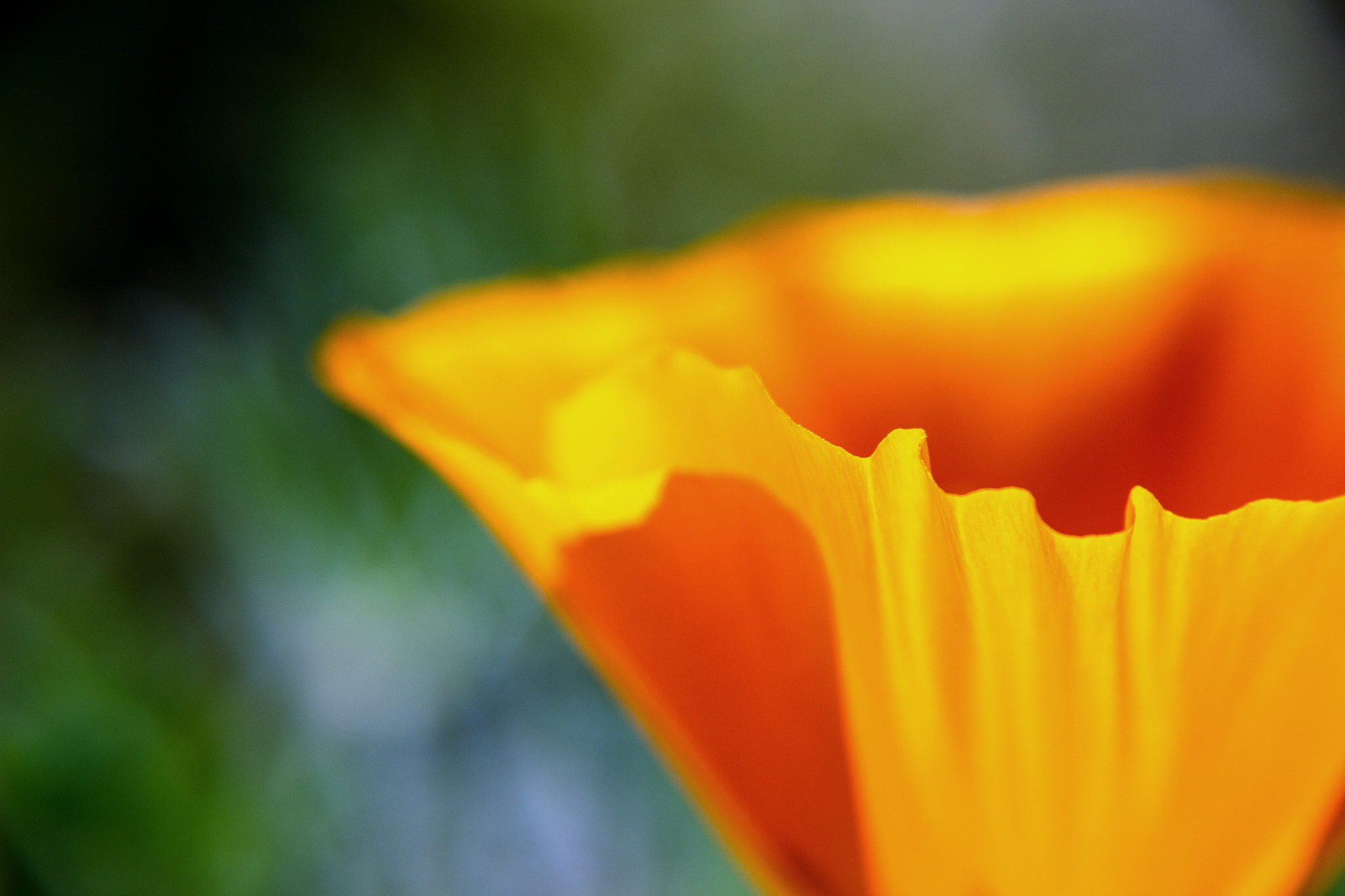 Sigma 18-250mm F3.5-6.3 DC OS HSM sample photo. Along the edge photography
