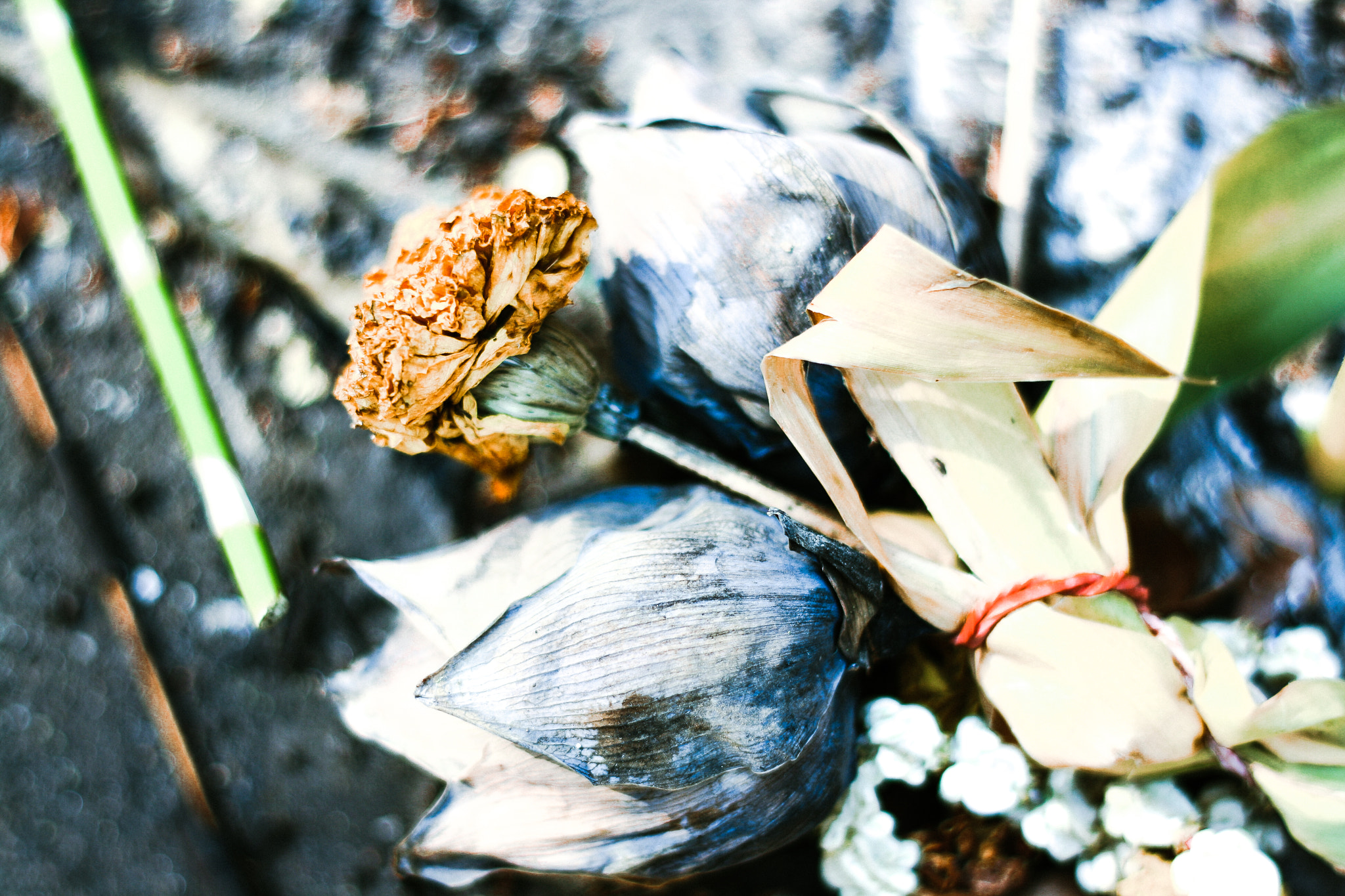 Canon EF 28mm F2.8 sample photo. Belief @ayutthaya, thailand. photographer : j e e r a p r a p a @jee_cha photography