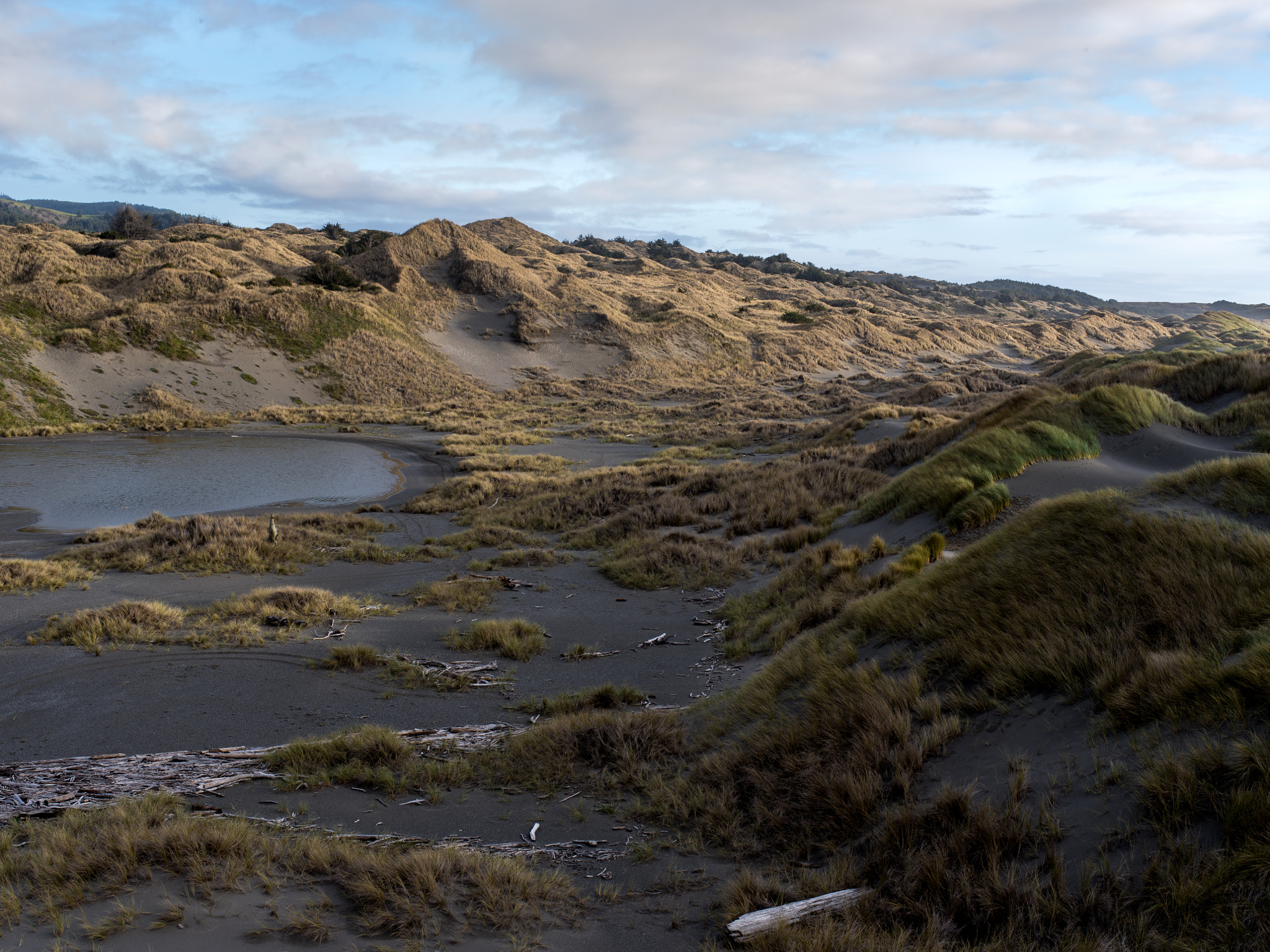Pentax 645Z sample photo. Pistol river photography