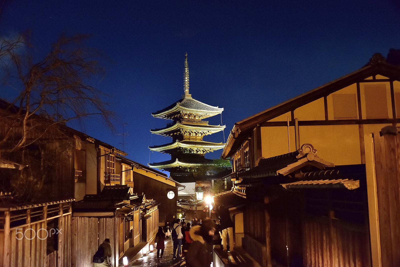 Nikon D800E sample photo. Old kyoto five-storied pagoda photography