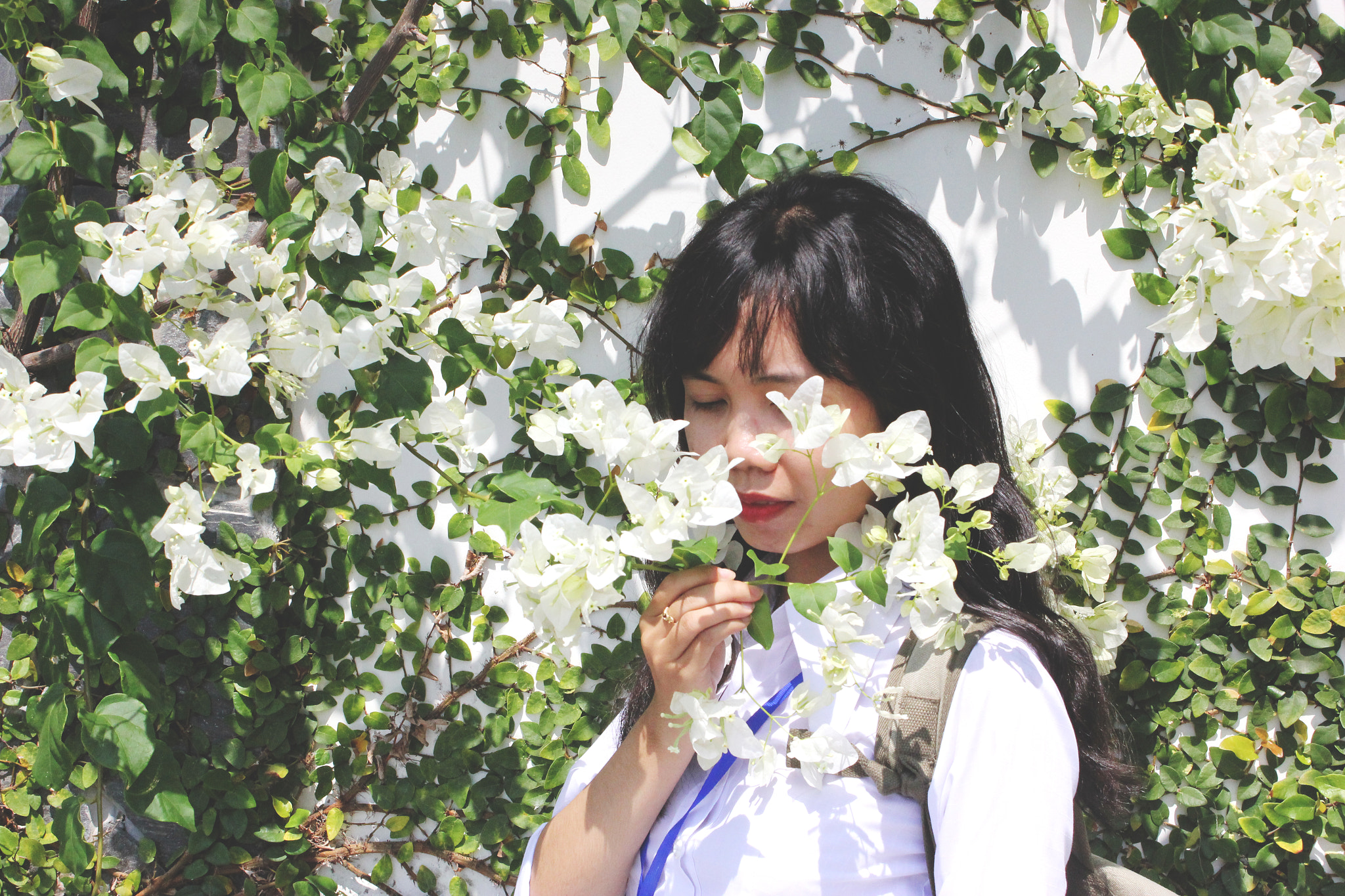 Canon EOS 550D (EOS Rebel T2i / EOS Kiss X4) sample photo. Flower photography