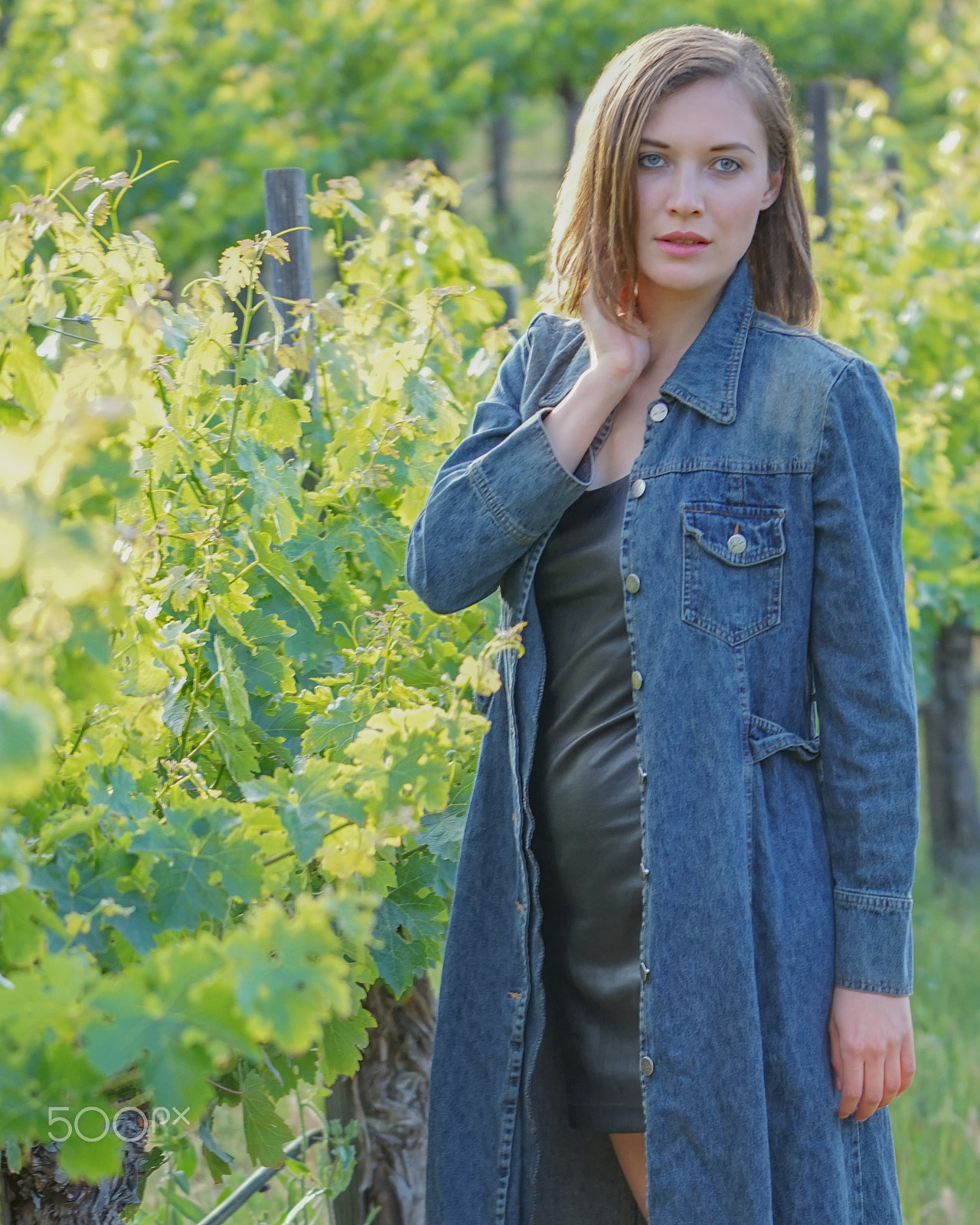 Sony a7R + Sony FE 70-200mm F4 G OSS sample photo. Look what i found in the vineyard photography