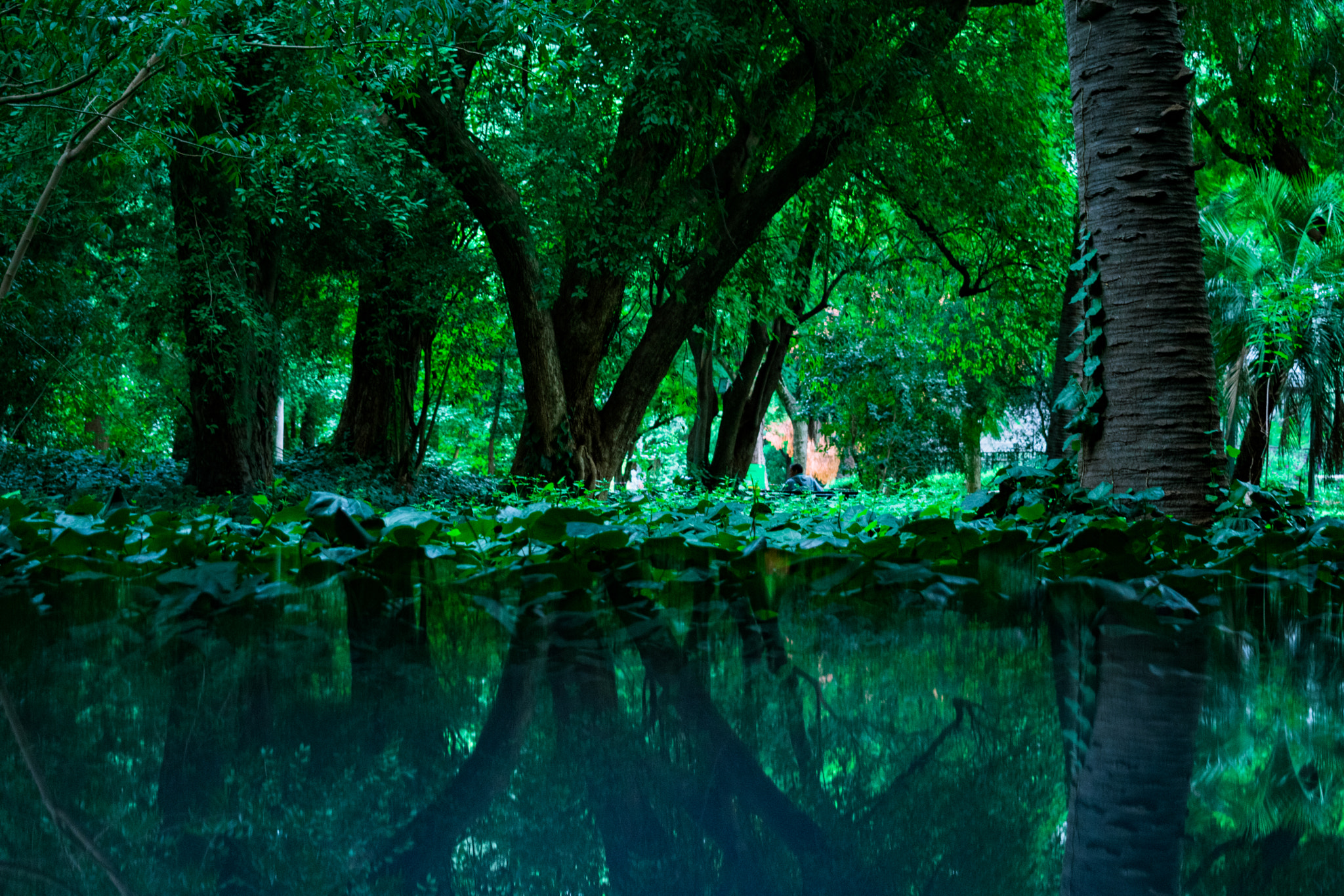 Nikon D3400 sample photo. Green ocean photography