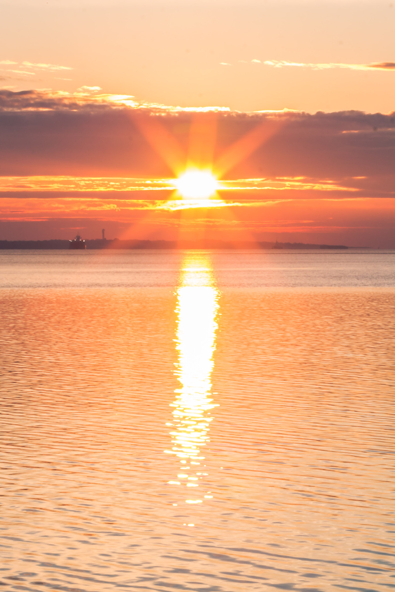 Canon EF 70-200mm F2.8L IS II USM sample photo. Good morning photography