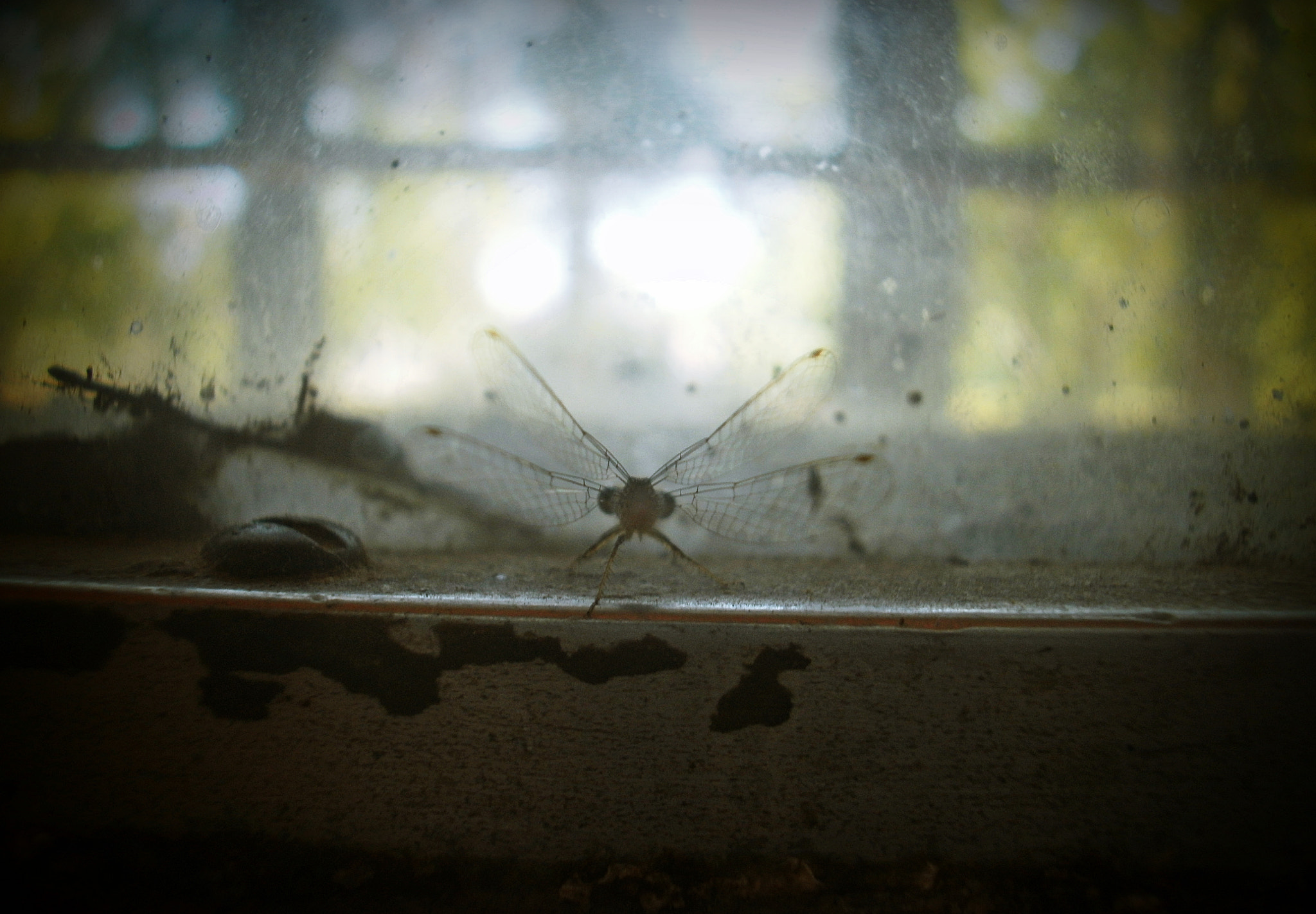 Olympus FE4020,X940 sample photo. Desde el interior photography
