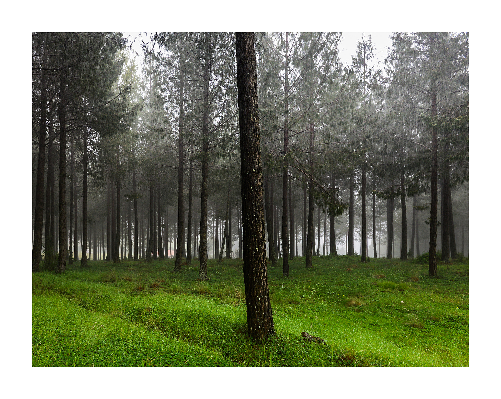 Nikon AF-S Nikkor 16-35mm F4G ED VR sample photo. Cajamarca  - perú photography