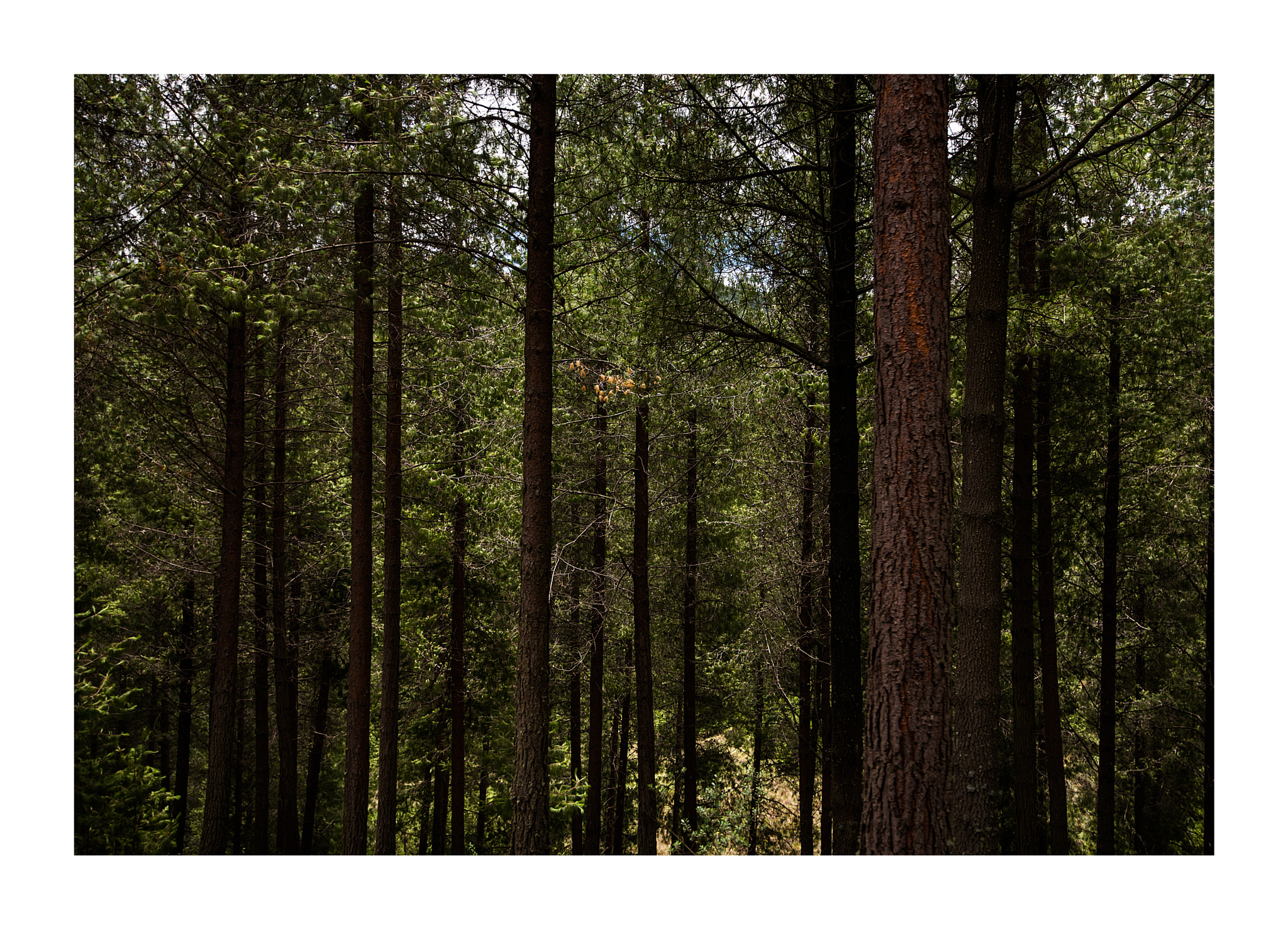 Nikon AF-S Nikkor 16-35mm F4G ED VR sample photo. Cajamarca  - perú photography