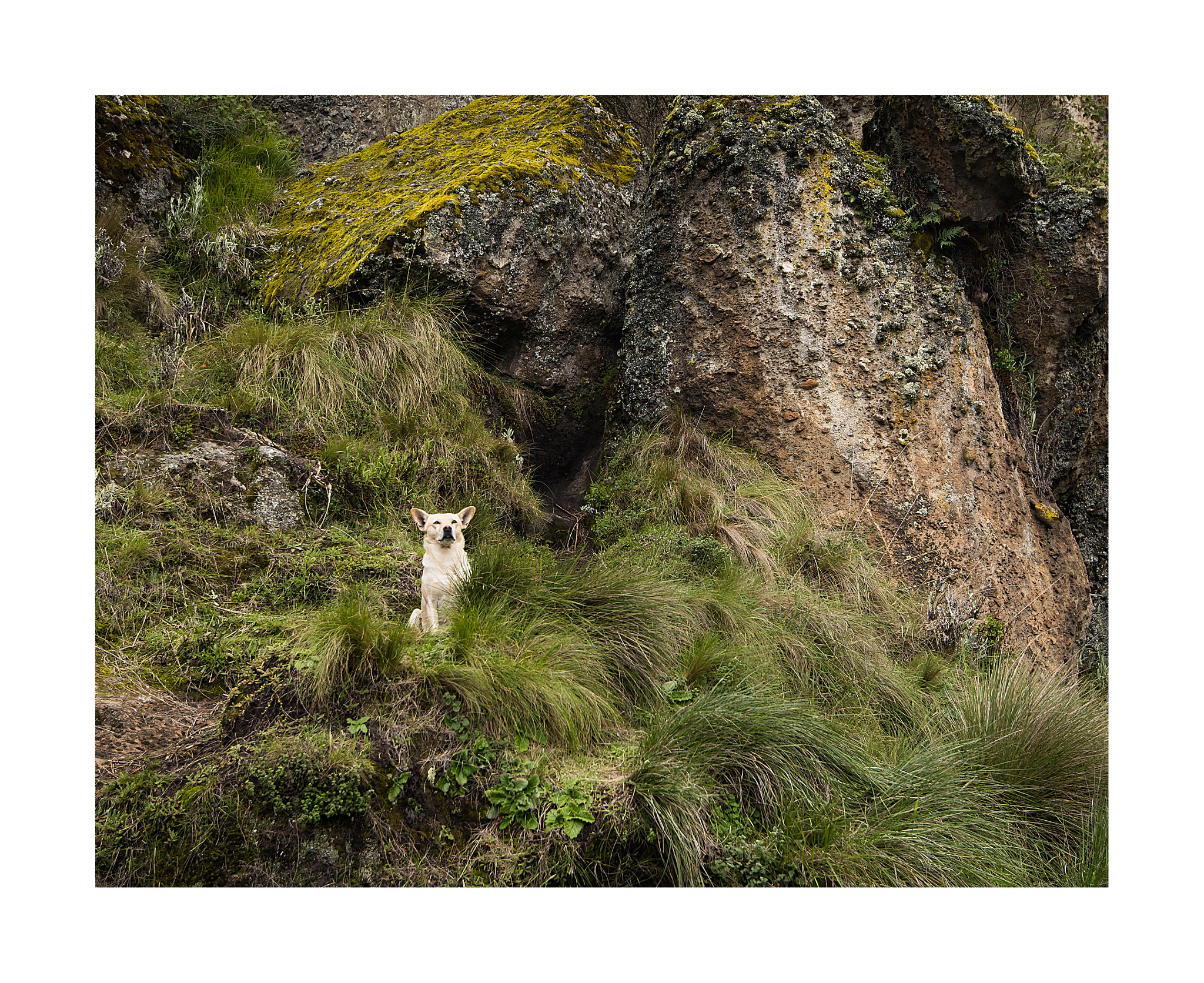 Nikon AF-S Nikkor 16-35mm F4G ED VR sample photo. Cajamarca  - perú photography