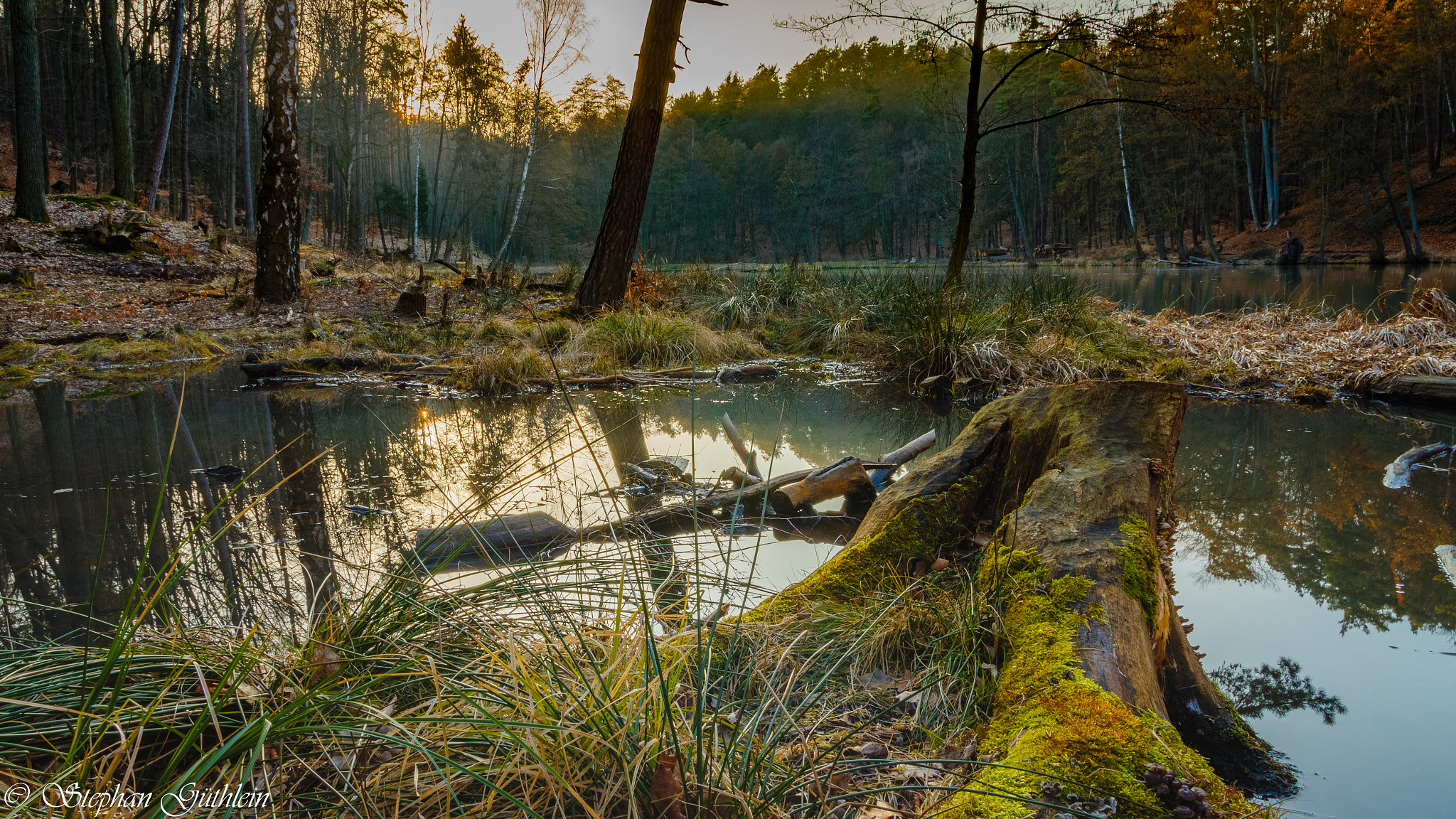 Canon EF-S 17-55mm F2.8 IS USM sample photo. Golden evening at forest lake photography