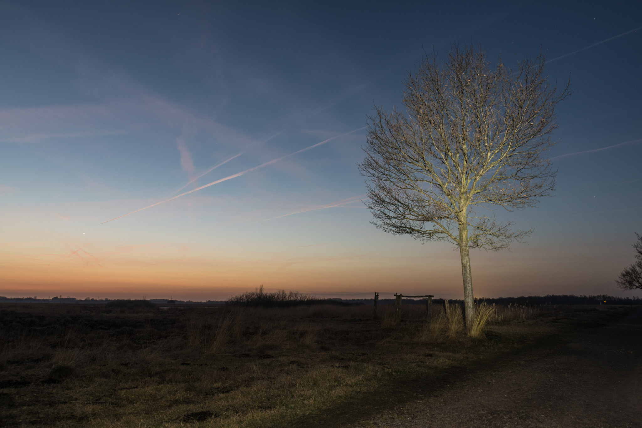 Nikon D500 sample photo. Gehlenbecker moor photography