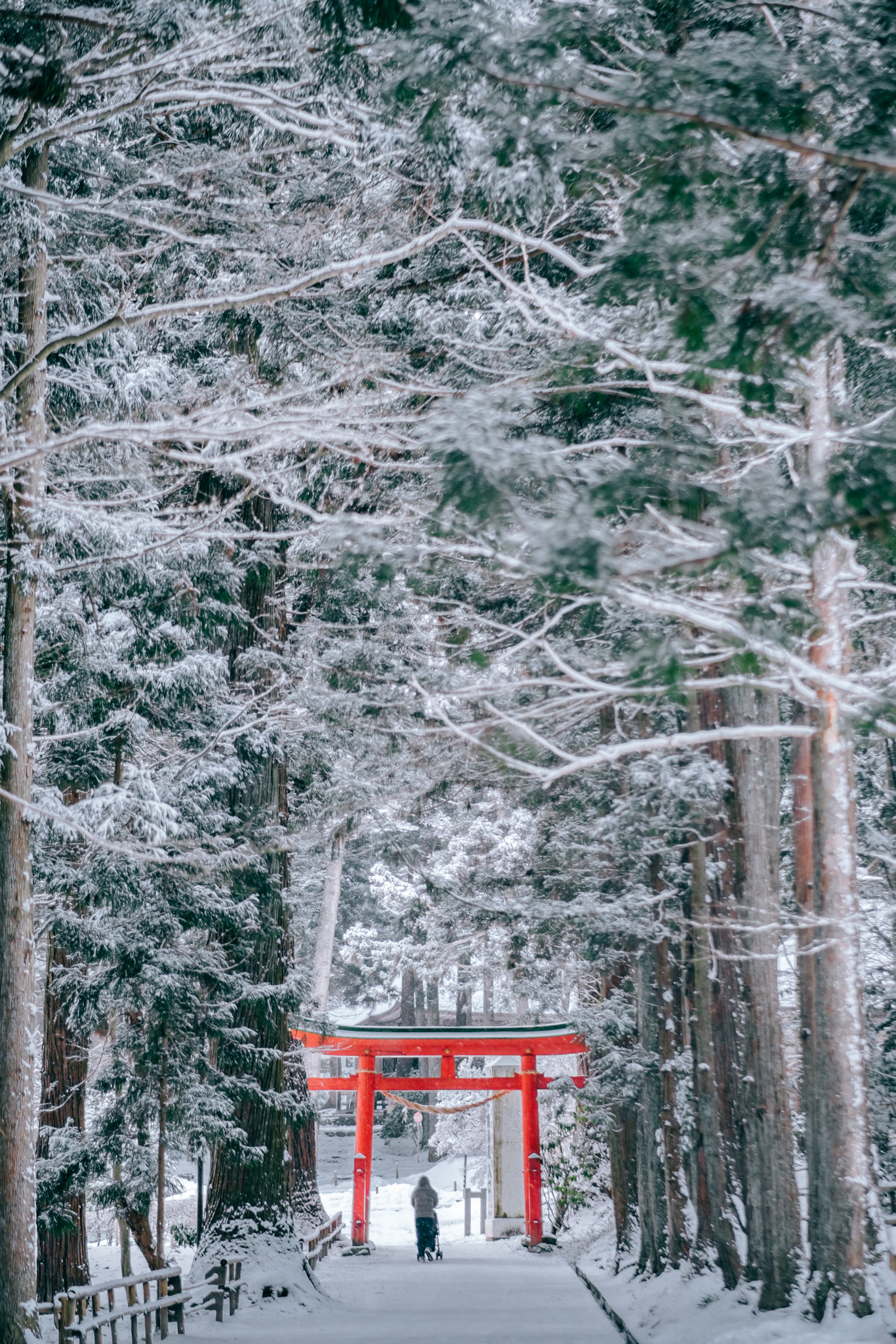 Fujifilm X-T2 sample photo. Everyday life in japan. photography