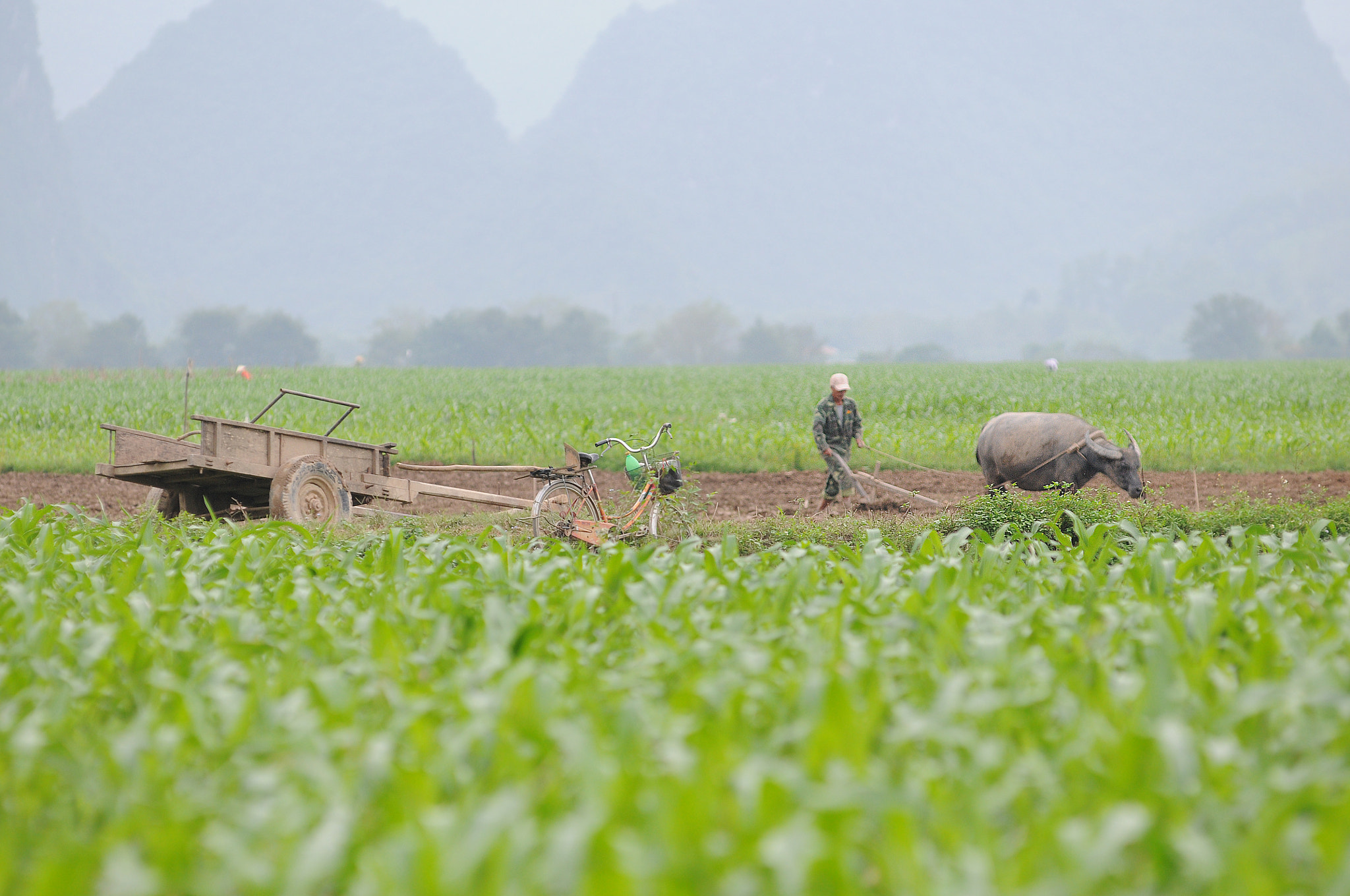 Nikon AF-Nikkor 80-200mm F2.8D ED sample photo. Vietnam photography