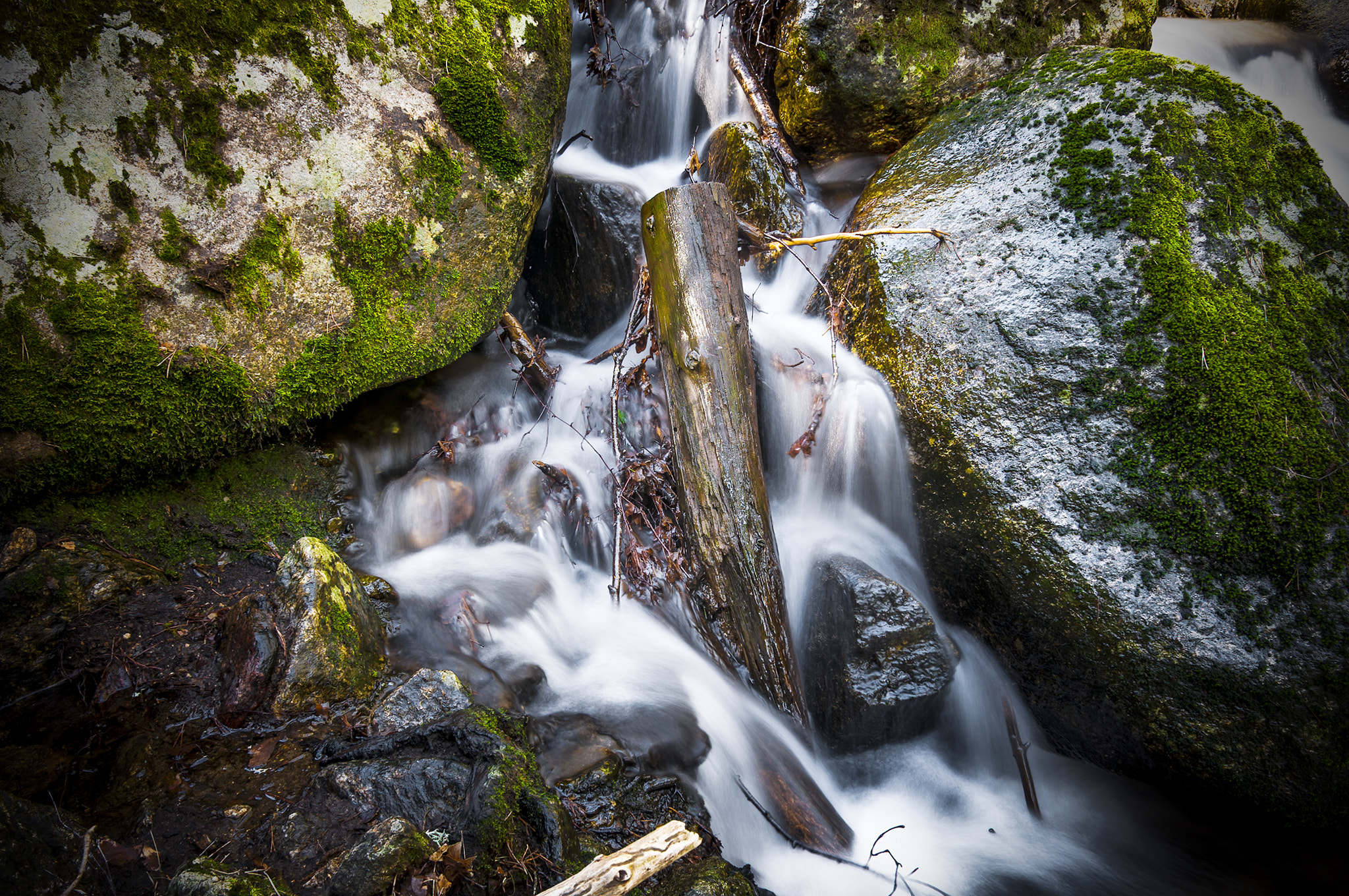 Sigma 17-50mm F2.8 EX DC OS HSM sample photo. Rio2559900 photography
