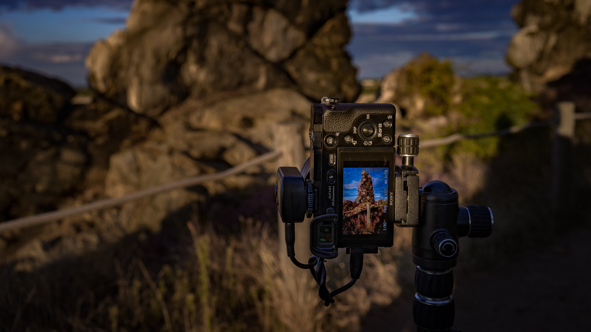 Sony a7 II + Sony Sonnar T* FE 35mm F2.8 ZA sample photo. Roadtrip germany 2016  | harz photography