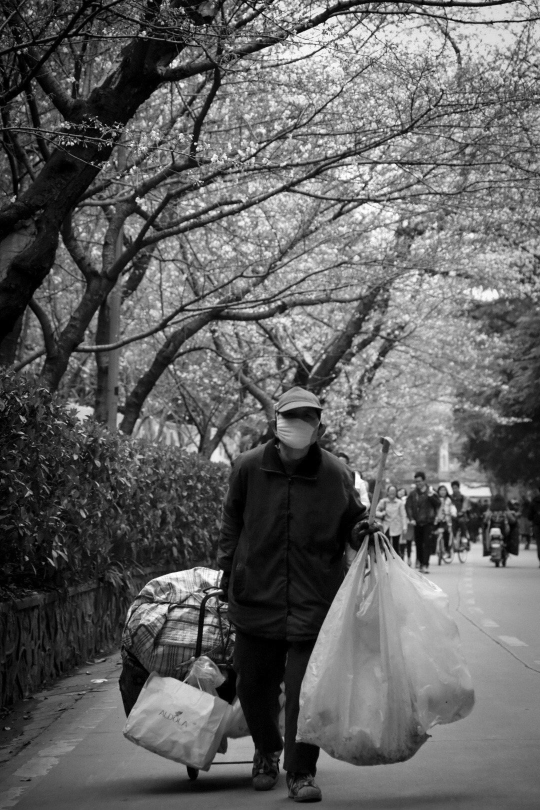 Nikon D7200 sample photo. Behind flowering #wuhan university photography