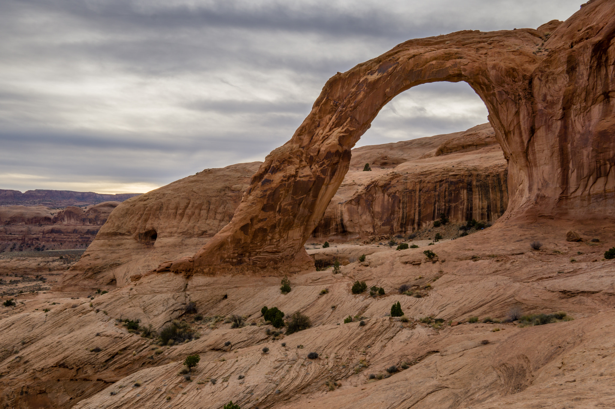 Sony a6000 + Sigma 19mm F2.8 EX DN sample photo. Corona arch photography