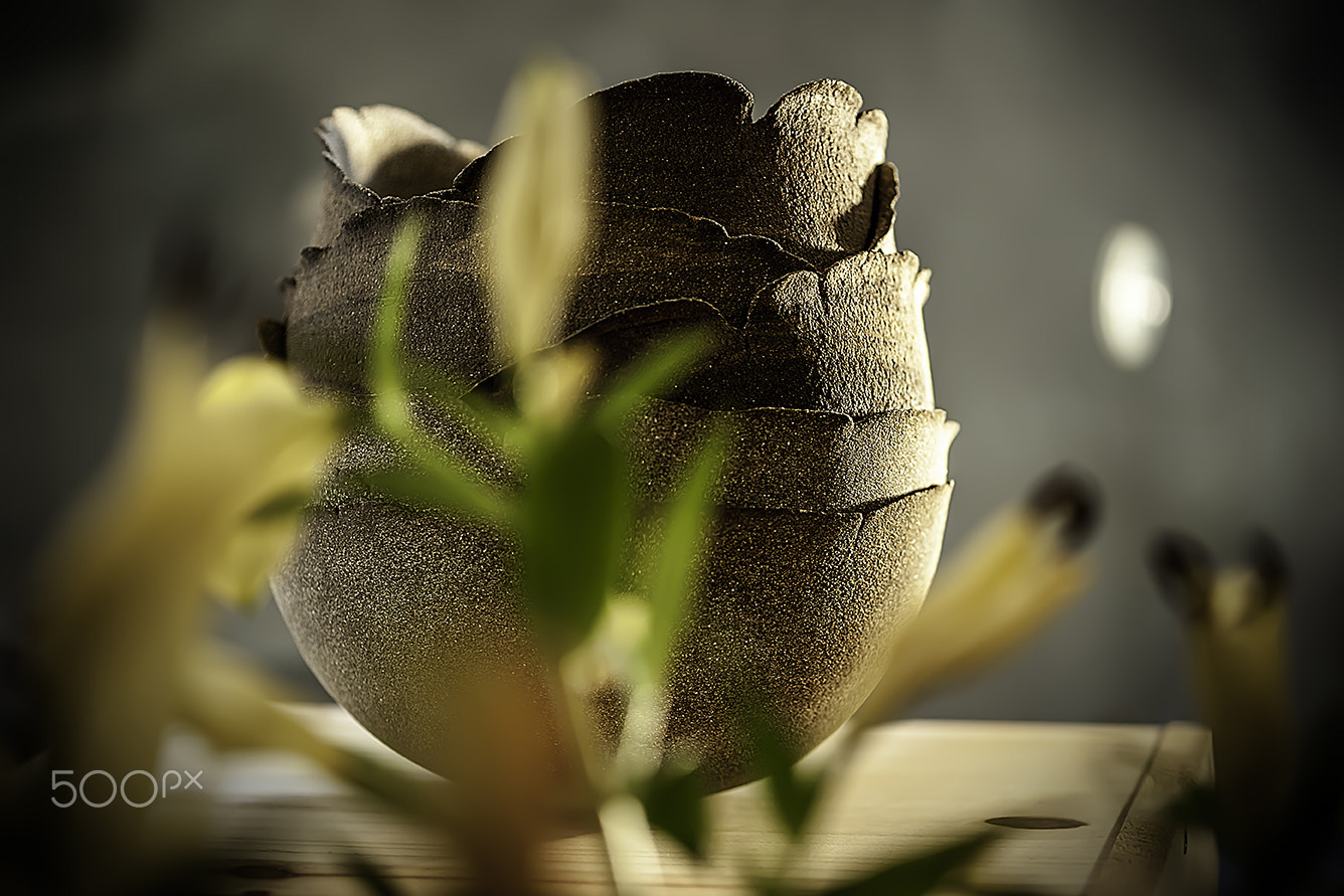 Nikon AF-S Micro-Nikkor 105mm F2.8G IF-ED VR sample photo. Pottery photography