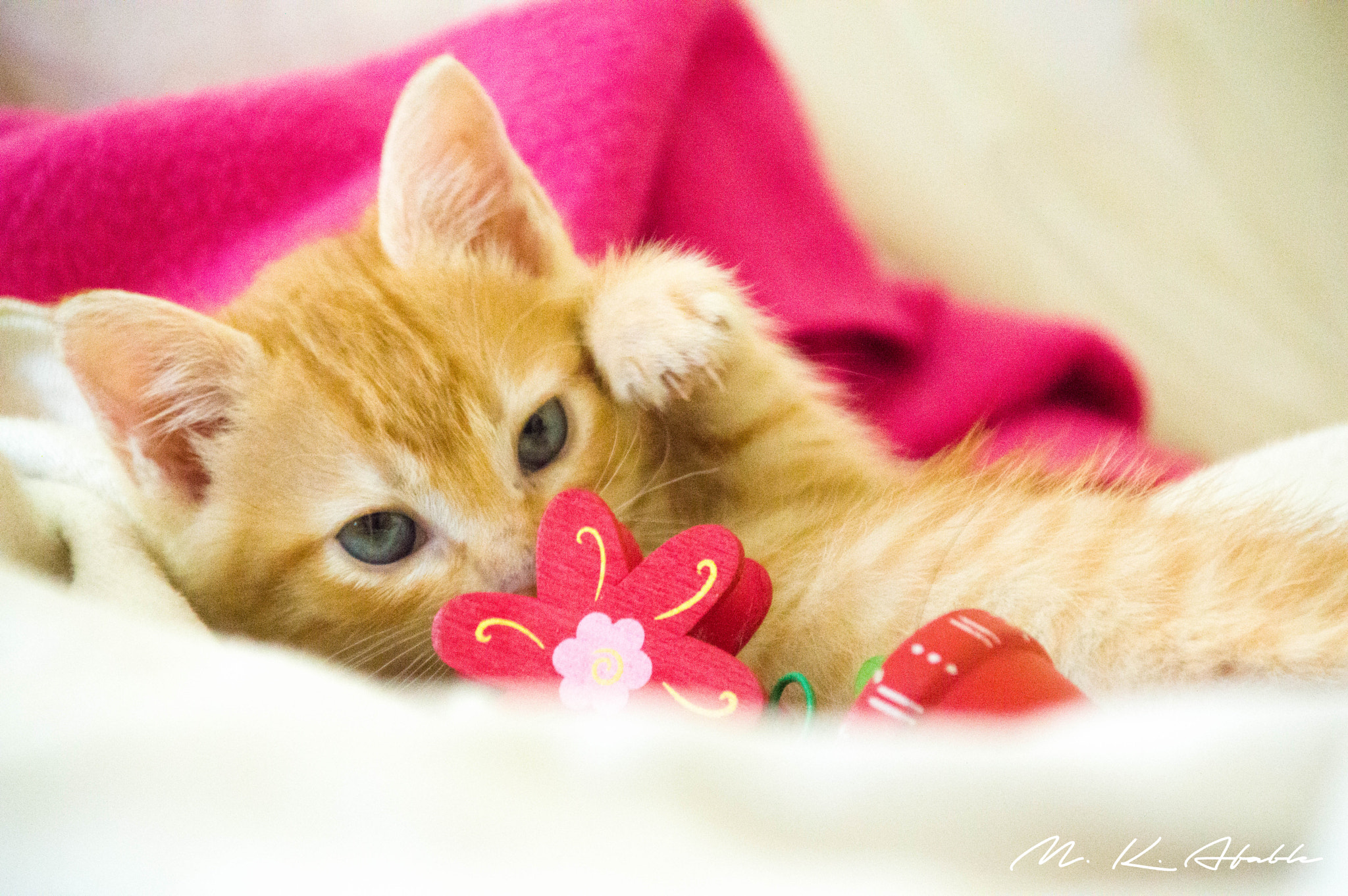 Sigma 28-300mm F3.5-6.3 DG Macro sample photo. Paint me like your french girls photography