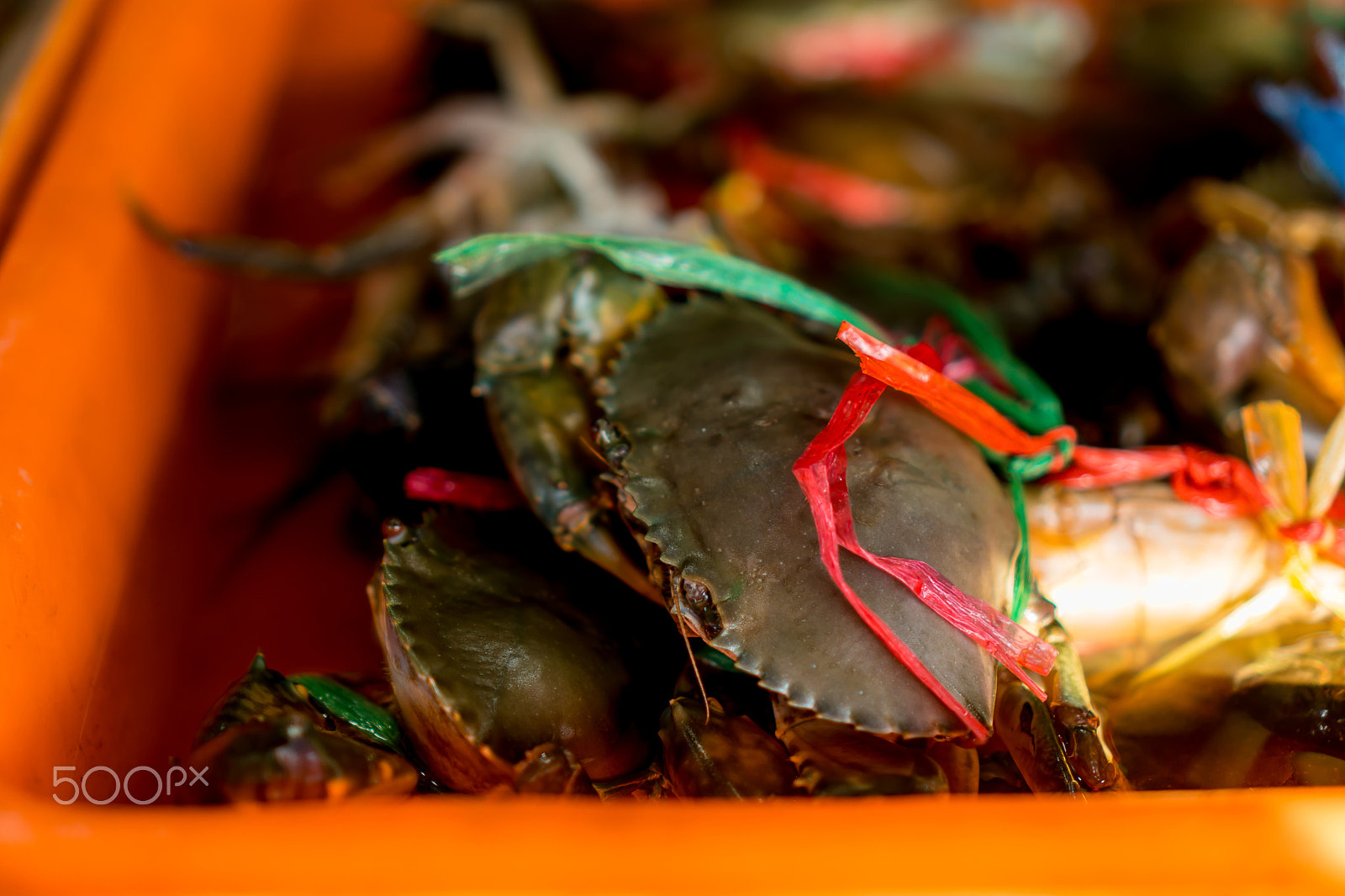 Sony E 35mm F1.8 OSS sample photo. Crab in the box photography