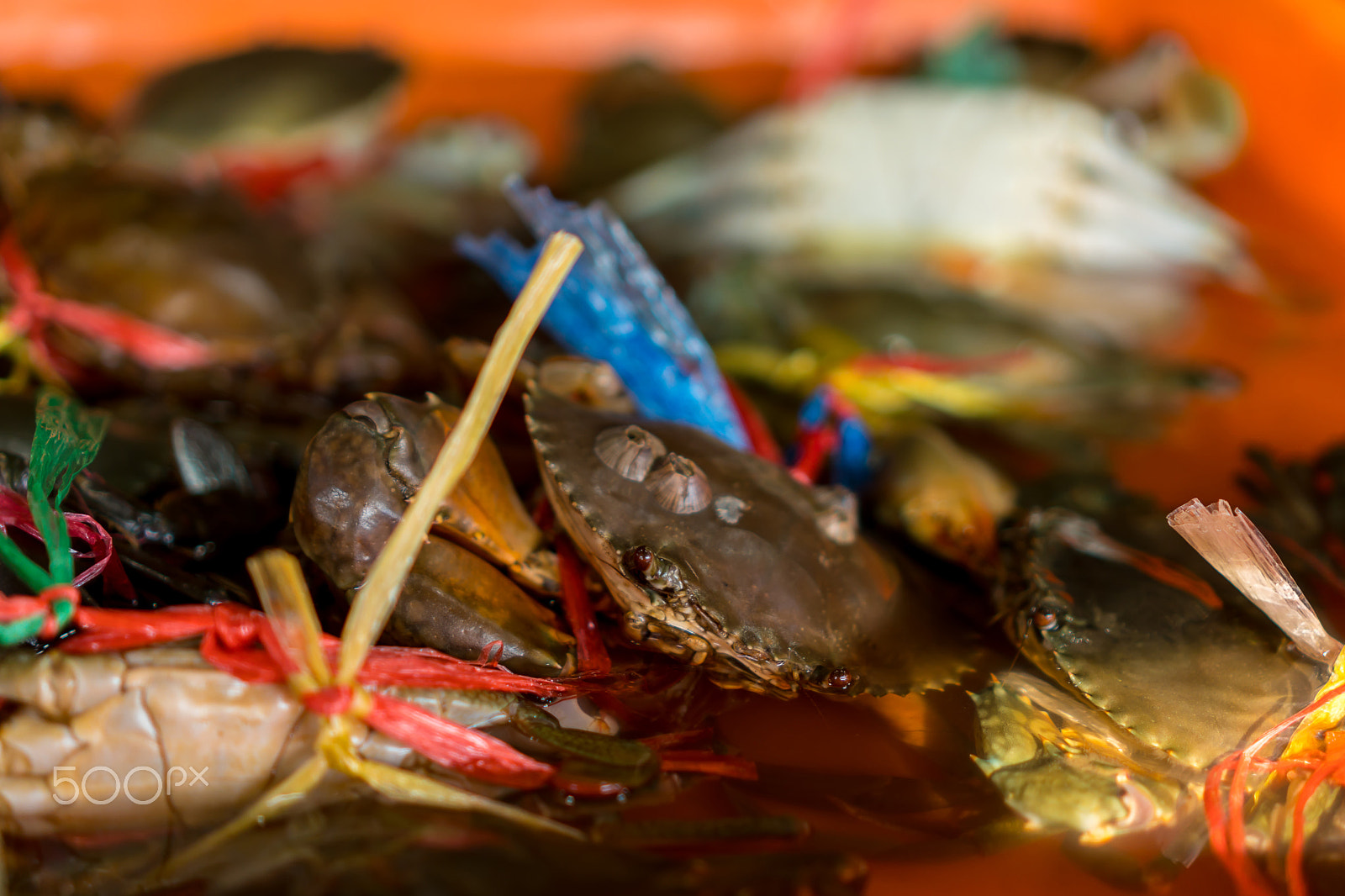 Sony E 35mm F1.8 OSS sample photo. Crab in the box photography