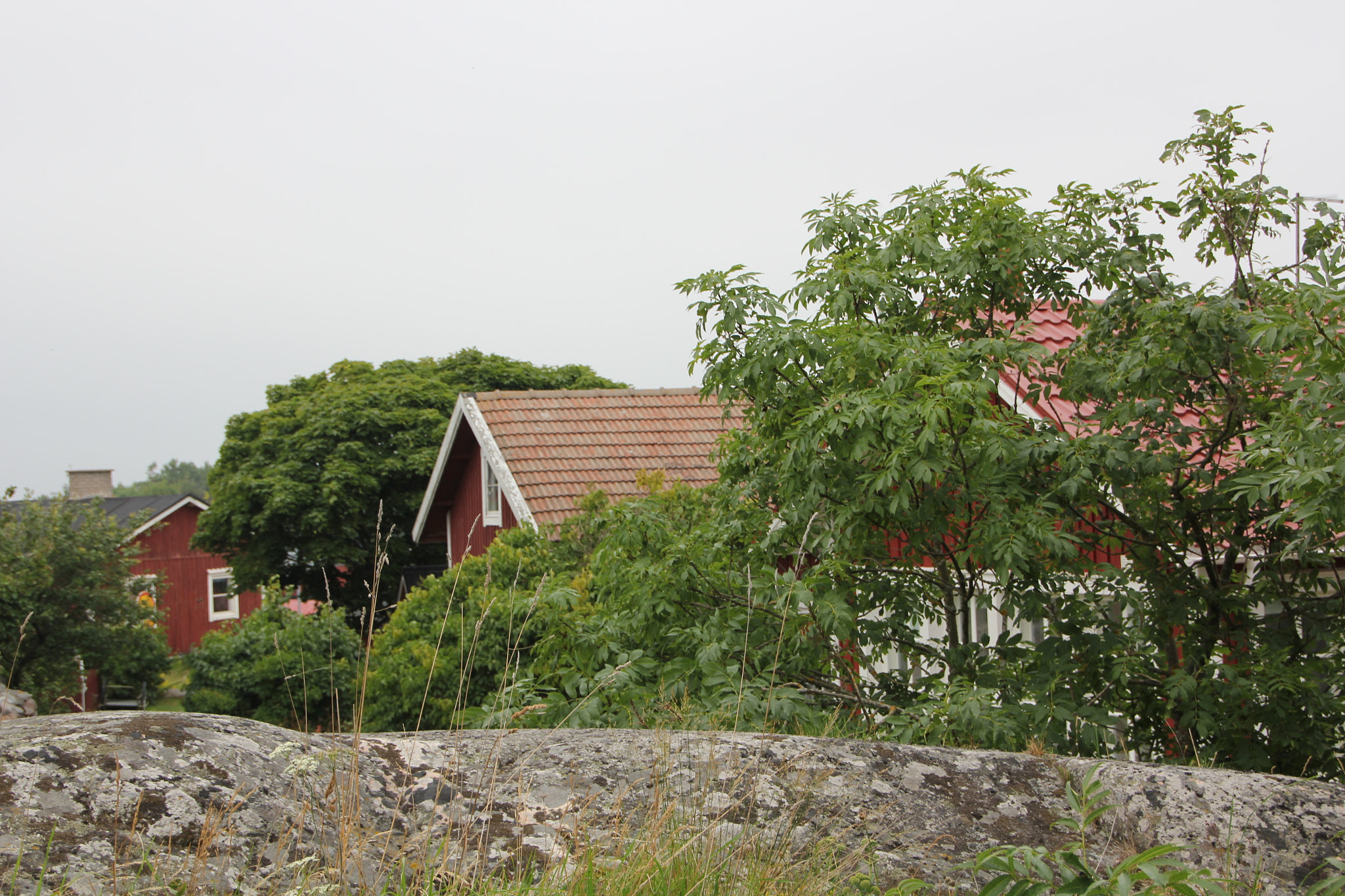 Sigma 18-250mm F3.5-6.3 DC OS HSM sample photo. Img photography