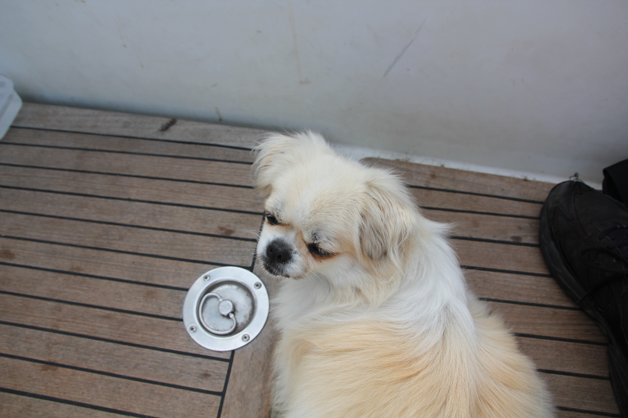 Sigma 18-250mm F3.5-6.3 DC OS HSM sample photo. Img photography