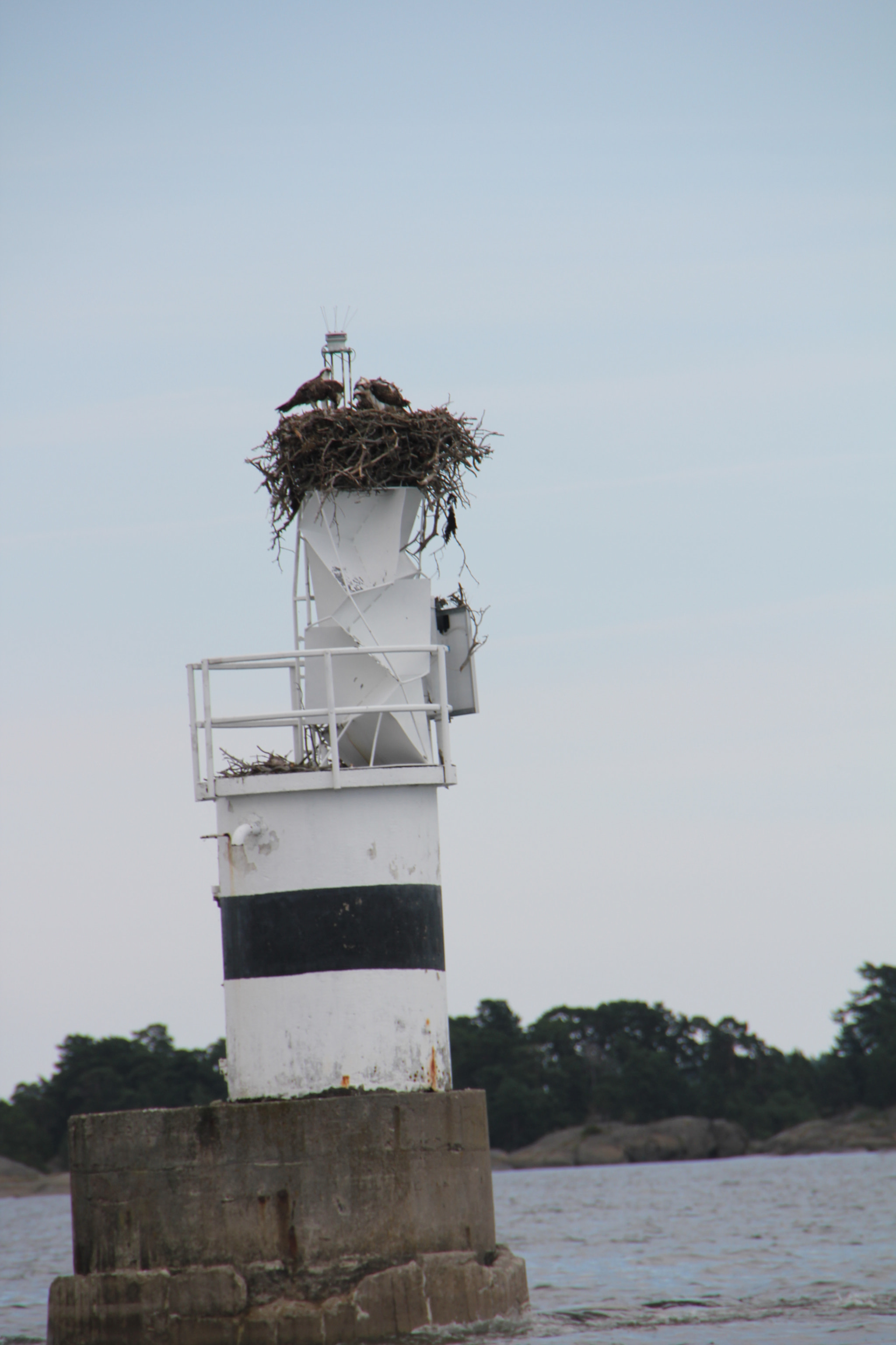 Sigma 18-250mm F3.5-6.3 DC OS HSM sample photo. Img photography