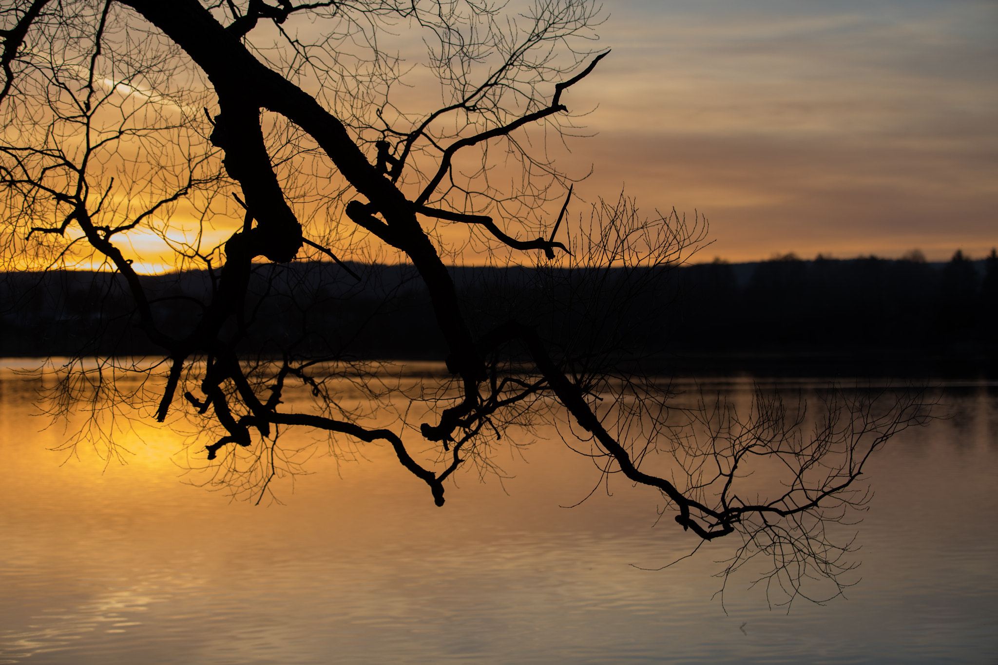 Canon EF 70-200mm F2.8L USM sample photo. West suns photography