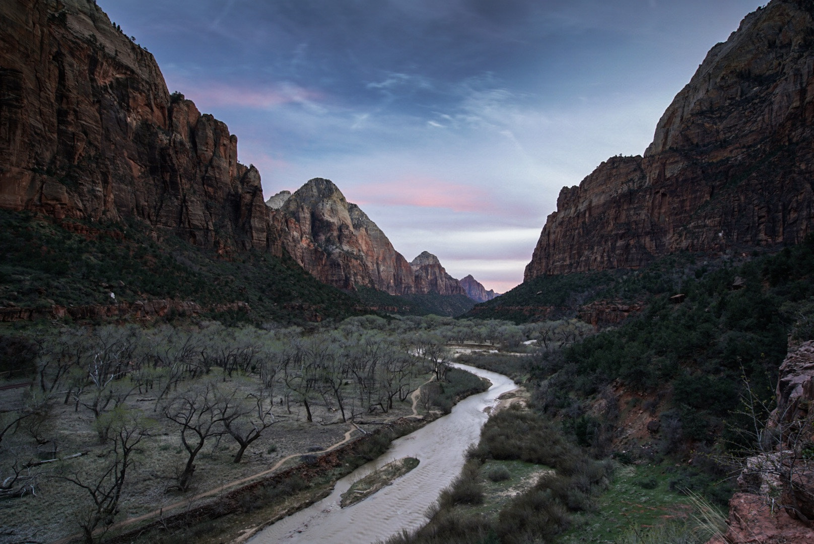 Sony a7R II + Canon EF 16-35mm F2.8L II USM sample photo. Zion national park at sunset photography