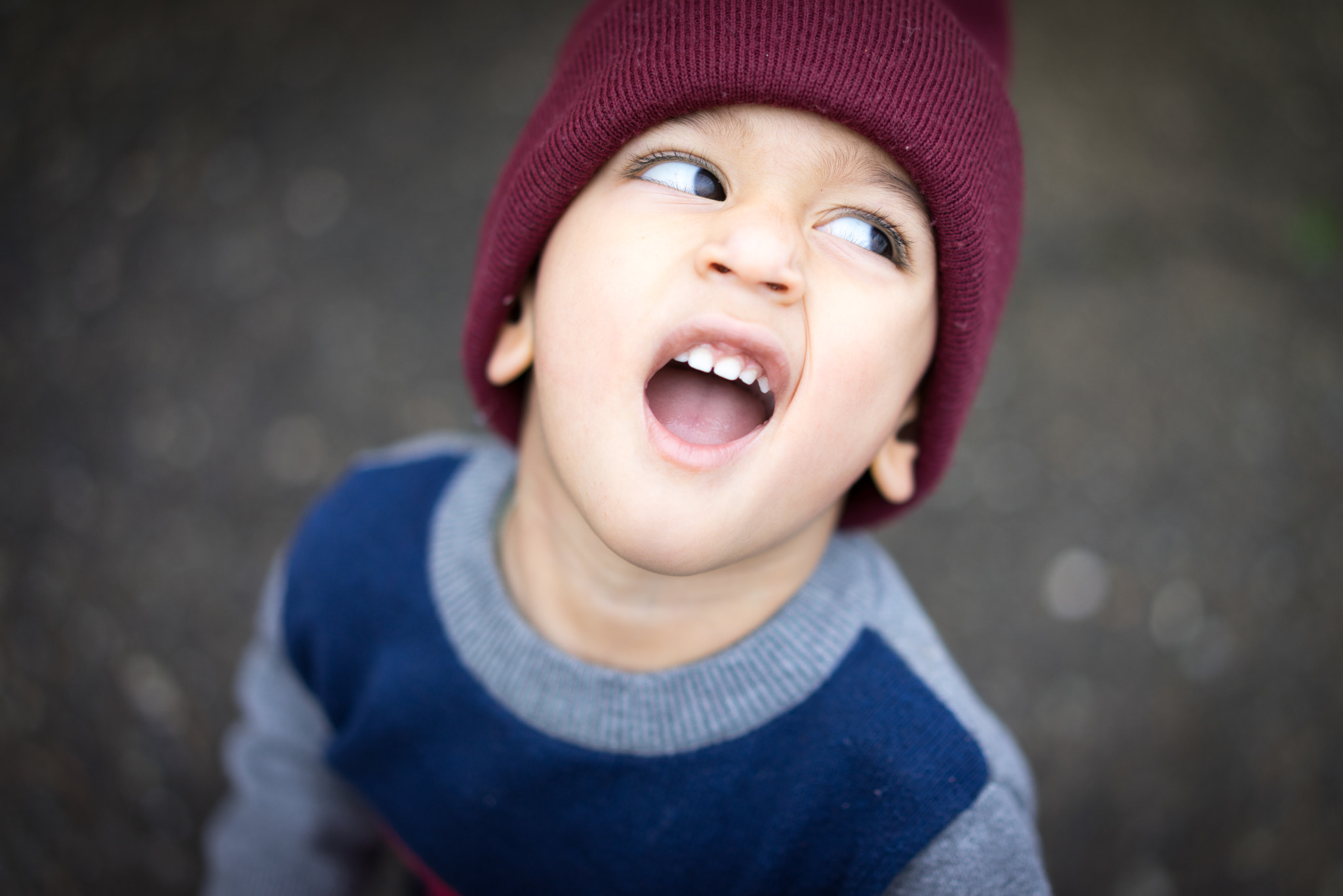 Sony a7R + Sony Sonnar T* FE 55mm F1.8 ZA sample photo. Bwaaaaaa! photography