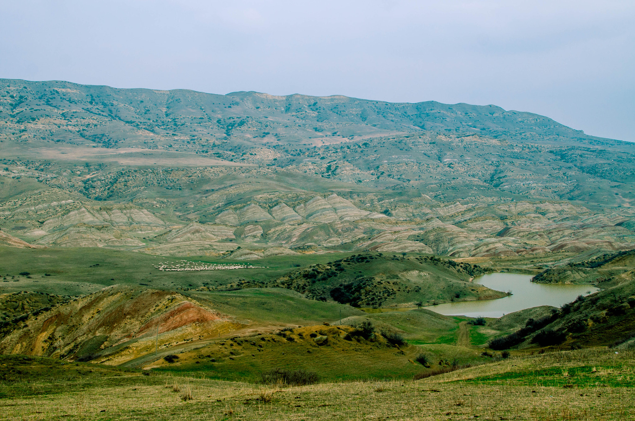 Nikon D5000 + Nikon AF-S DX Nikkor 35mm F1.8G sample photo. David gareji's landscapes photography
