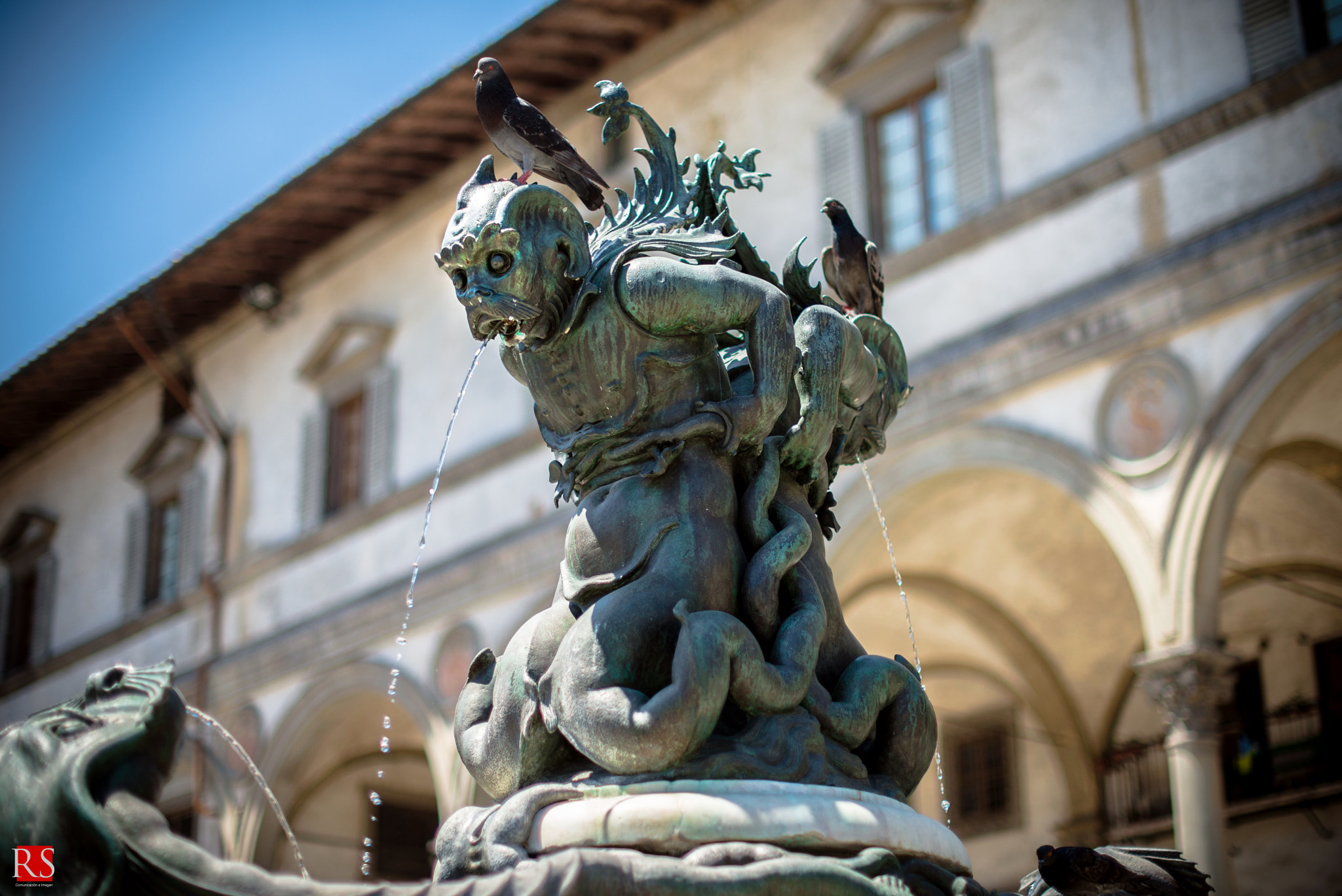 Nikon D600 + Nikon AF-S Nikkor 50mm F1.4G sample photo. Mostri marini photography