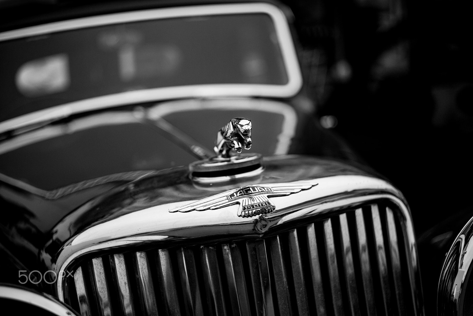 Summicron-M 1:2/50 sample photo. The days of wine and roses photography