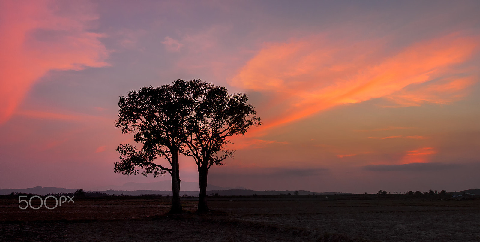 Canon EF 16-35mm F2.8L II USM sample photo. Alone in sunset photography
