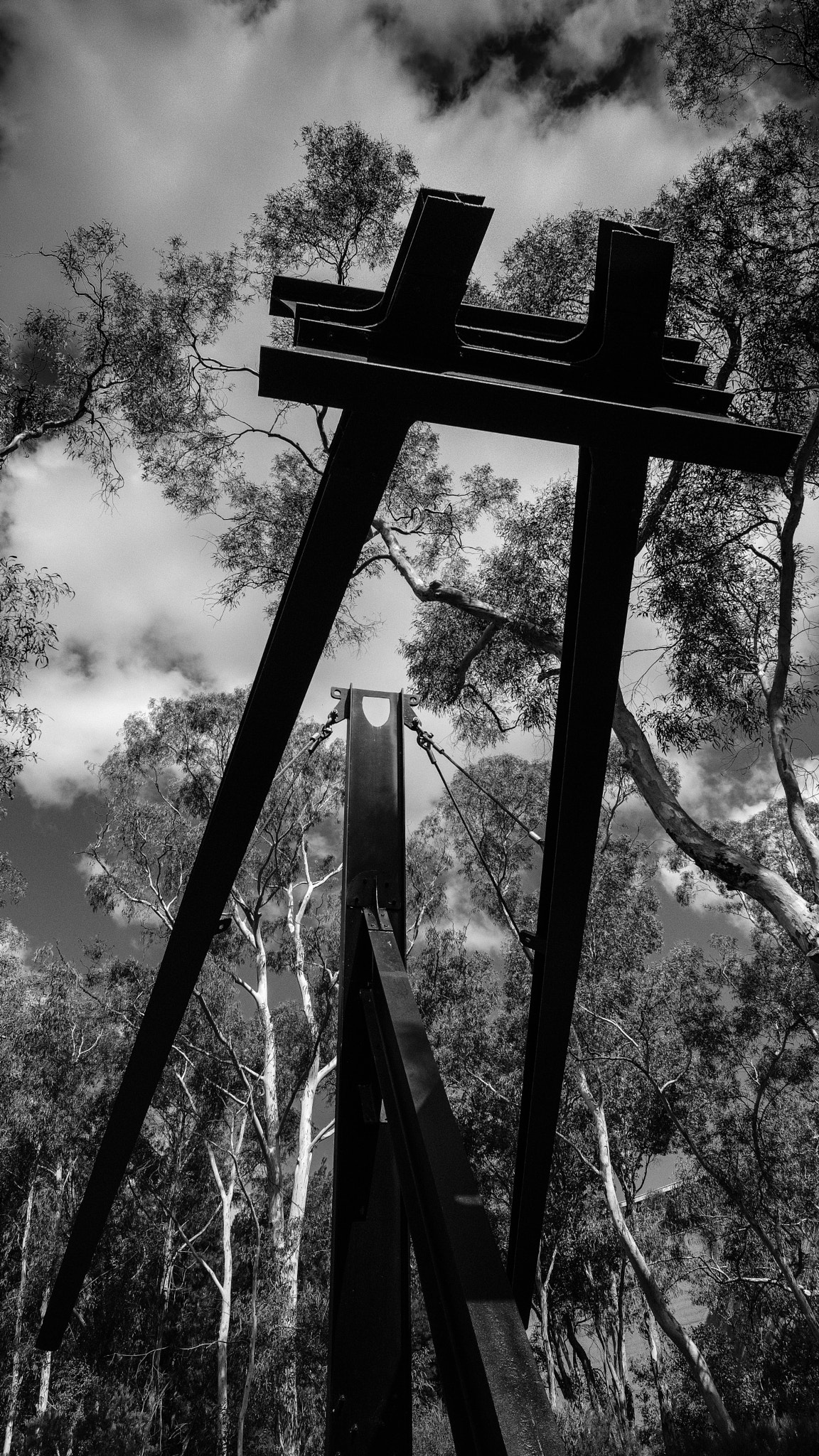 Fujifilm XF 14mm F2.8 R sample photo. Steel, trees, sky photography