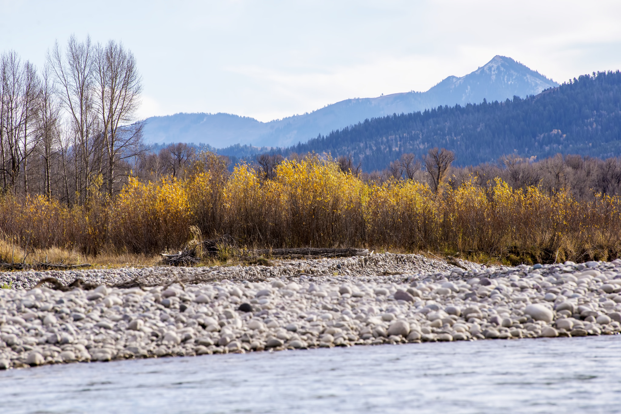 Nikon D600 sample photo. Autumn river bank (1) photography