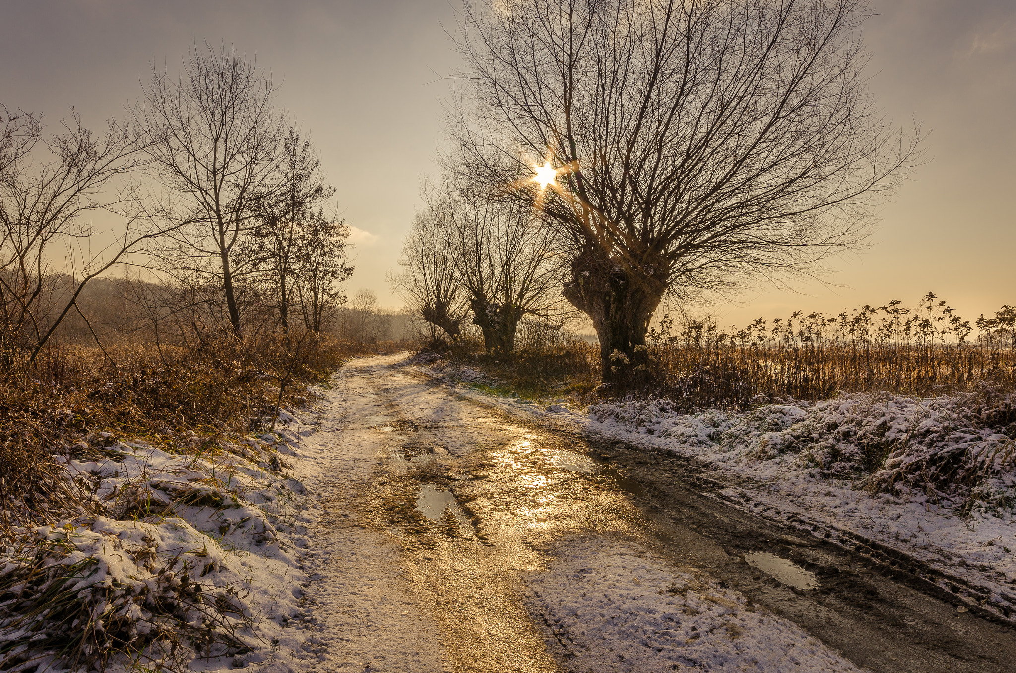 Sigma 10-20mm F4-5.6 EX DC HSM sample photo. Zimowa polna droga / winter country road photography